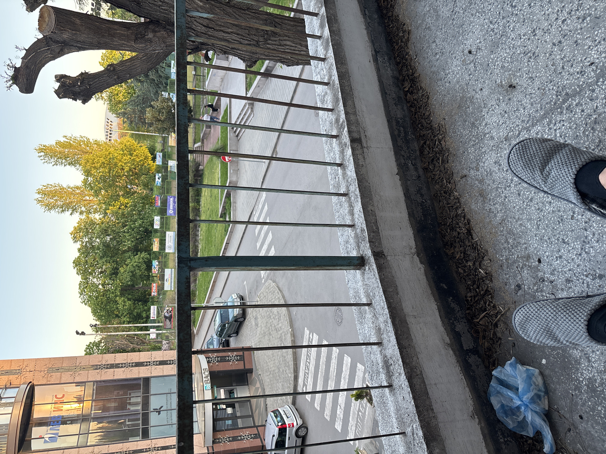 The image, taken from an elevated perspective looking down and slightly rotated, captures an urban street scene in Plovdiv, Bulgaria, during what appears to be late afternoon or early evening under a clear sky.
In the immediate foreground, a person's feet, clad in grey mesh slip-on shoes, rest on a concrete balcony or ledge. Beside the feet, a light blue plastic bag is tied up and discarded. A weathered green metal railing spans the width of the frame, separating the viewer from the street below.
Beyond the railing, an asphalt road features a clearly marked pedestrian crosswalk with white stripes. Faint Cyrillic text is visible on the road surface, likely "ВНИМАВАЙ" (BE CAREFUL) or "ПРОХОД" (PASSAGE). Several cars are parked along the street, including a dark blue sedan and a white hatchback. A red circular traffic sign is positioned near the road.
To the left of the road, a strip of green grass runs parallel, bordered by a fence adorned with various billboards or banners. Visible text on these includes "NANI", "LUCIOU", "Еврозона" (Eurozone), and "РСБИ" (RSBI). A person in light-colored clothing is walking on the sidewalk adjacent to the grassy area.
Further into the scene, a large tree with thick, gnarled and pruned branches is prominent. Behind it, numerous green trees with dense foliage extend towards the background. In the distance, under a bright sky, a distinctive large, light-colored building with a curved facade is visible, suggesting a historical landmark like Plovdiv's Roman Theatre or Stadium.
At the bottom left of the frame, a modern building with large reflective glass windows displays Cyrillic text on its facade. Recognizable elements include "БАСБ" (BACB - Bulgarian American Credit Bank), "СИСТЕМА ЗА СТОМАНО" (System for Steel), and "ЗА ЧАСТНИ И ПРЕДПРИЯТИЯ" (For Private and Enterprises).