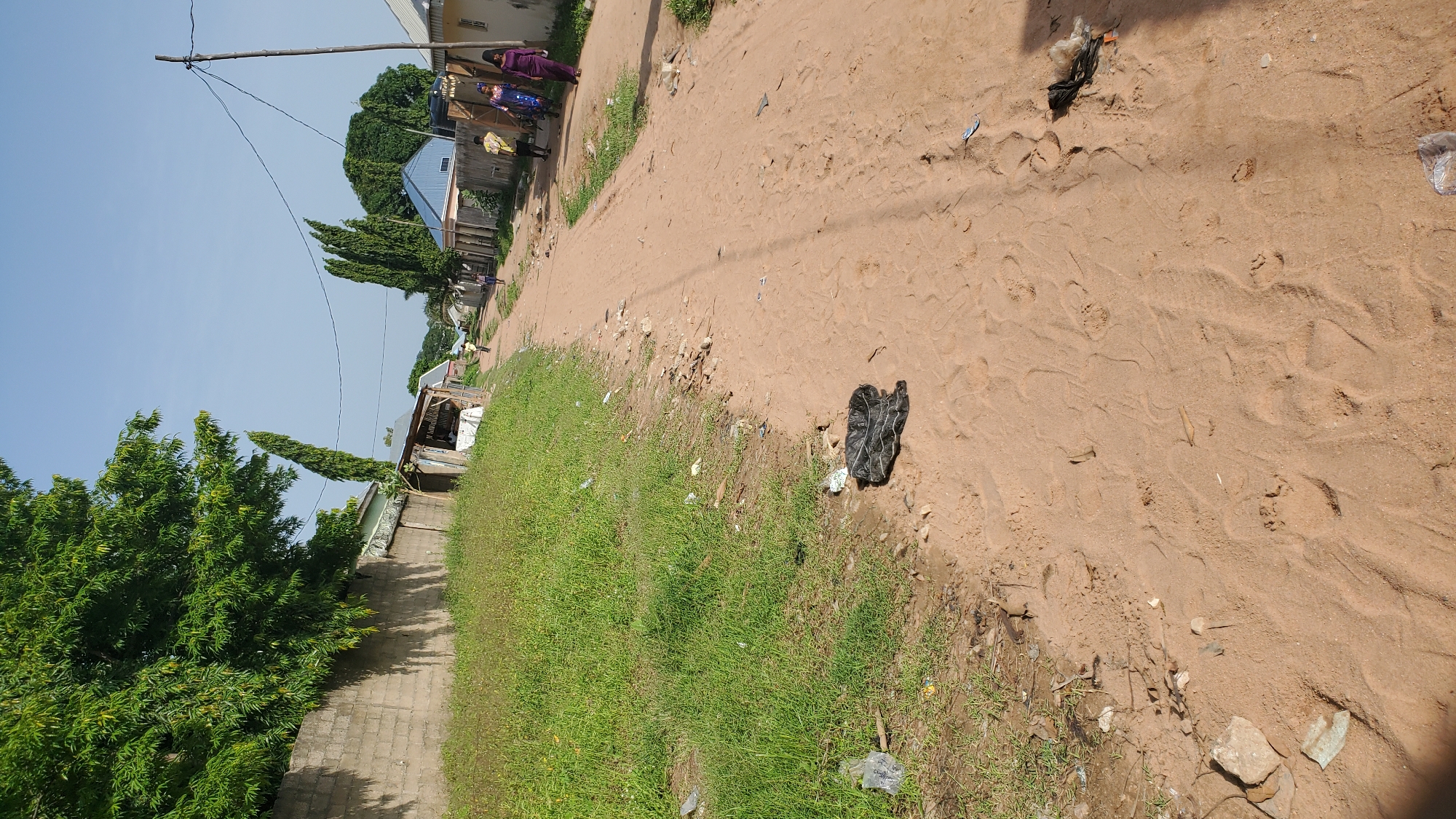 In Jalingo, Nigeria, a dusty, unpaved road stretches into the distance, lined with sparse vegetation and the occasional dwelling. The scene is characterized by a somewhat neglected environment, with litter visible along the roadside, including plastic bags and other debris scattered on the sandy ground and mixed with the grass. Several people are seen walking along the road, appearing to be going about their daily activities. The sky above is clear and blue, suggesting a sunny day. The overall impression is of a modest residential area in a warm climate.