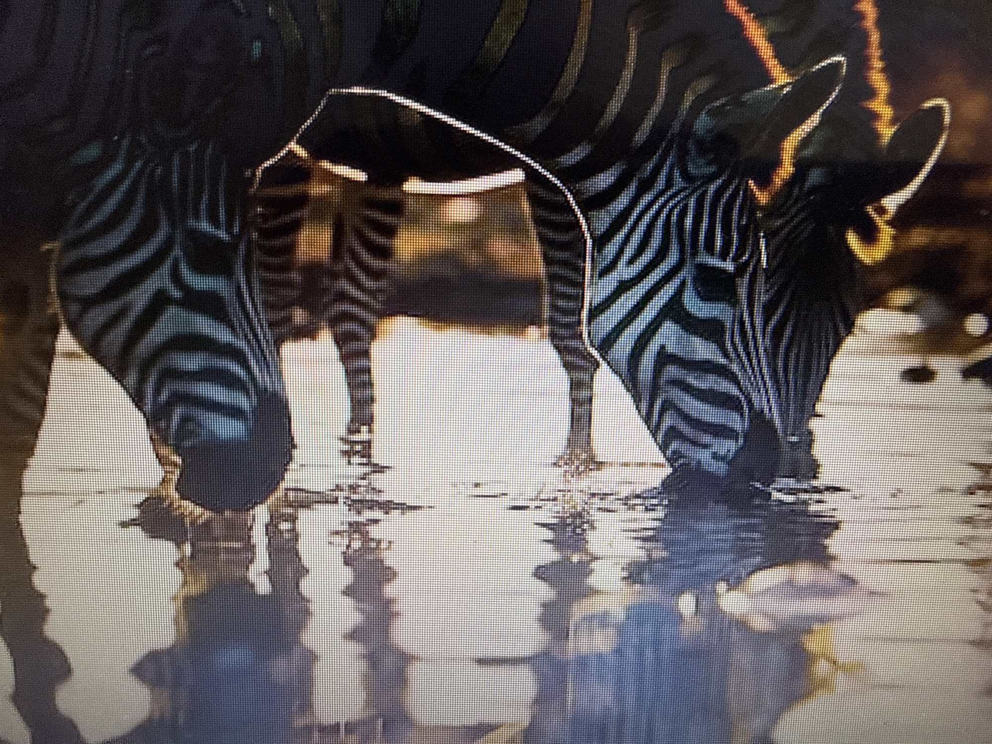 The image shows a close-up of three zebras drinking from shallow water. Their heads are lowered to the water's surface, and their reflections are visible in the water. The zebras have black and white stripes. The background is blurred and appears to be a natural setting with warm, golden light, possibly suggesting a sunset or sunrise. There is no indication of the city of Pushkino, Russia, or any urban elements in the image. The focus is entirely on the animals and their interaction with the water.