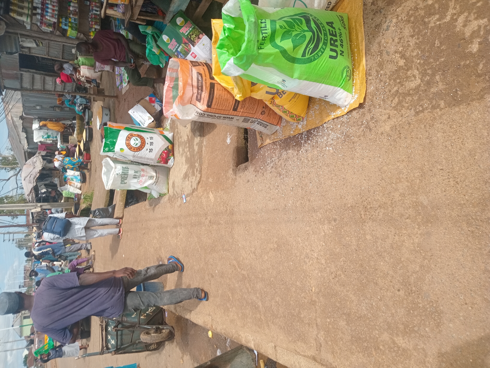 In Bukuru, Nigeria, a bustling open-air market scene unfolds. A man wearing a dark blue t-shirt and grey trousers, adorned with a grey cap, walks from left to right, pushing a green, two-wheeled cart. He wears blue flip-flops. Several other individuals are visible in the background, engaged in market activities. In the foreground, a collection of large bags, likely containing fertilizers, are arranged on the ground. One prominent green bag reads "FERTILIZER UREA N 46%+". Adjacent to it are bags with branding that includes "GOLDEN" and "PREMIER". The ground is paved with concrete, and the overall environment suggests a commercial hub with various goods on display. A wooden stall stocked with bottled items can be seen further back.