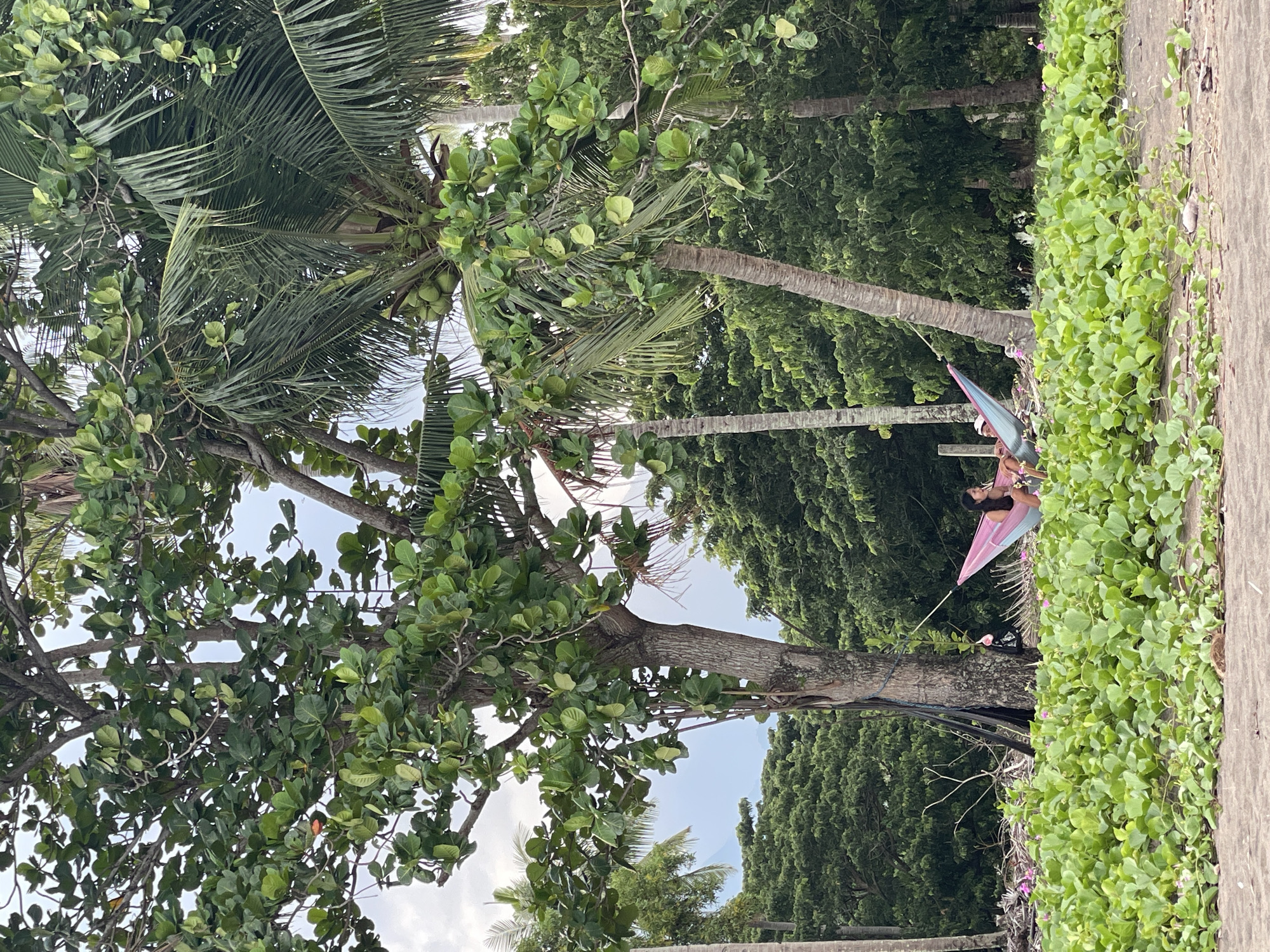 A woman is relaxing in a pink and blue hammock strung between two trees on a beach in Dauin, Philippines. Lush green foliage covers the foreground, with a sandy area visible in the bottom right. Behind the hammock, a dense forest of trees forms the backdrop, with a cloudy sky overhead. The scene conveys a sense of tranquility and leisure.