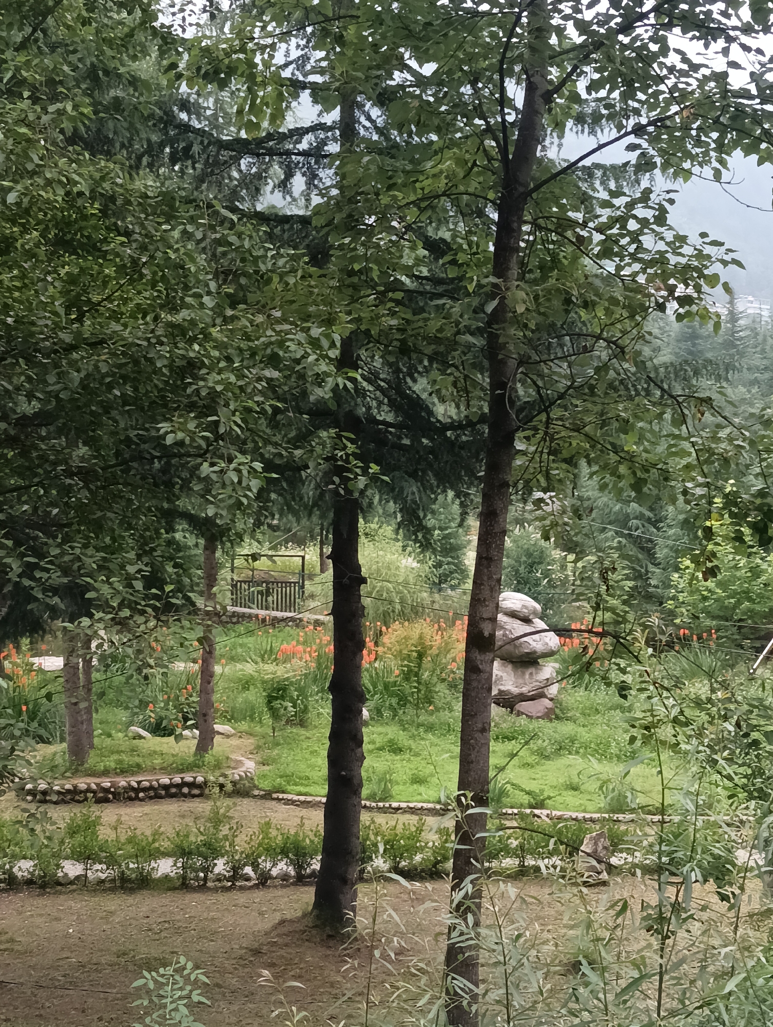 The image depicts a serene garden scene, likely located in Manali, India, given the lush greenery and mountainous backdrop. In the foreground, two trees stand prominently, their branches reaching towards the sky, partially obscuring the view of the garden beyond. The garden itself is a tapestry of green, with patches of orange flowers scattered throughout. A winding path, made of natural stones, meanders through the garden, leading towards a rustic wooden structure with a thatched roof. Several other trees, of varying heights, are dispersed across the landscape, contributing to the overall sense of a well-maintained natural space. In the mid-ground, a stack of large, smooth stones forms a natural sculpture, adding a unique element to the garden's design. The background reveals more dense foliage and hints of distant structures, suggesting the garden is nestled within a larger natural or semi-urban environment. The overall impression is one of tranquility and natural beauty, typical of the picturesque landscapes found in Manali.