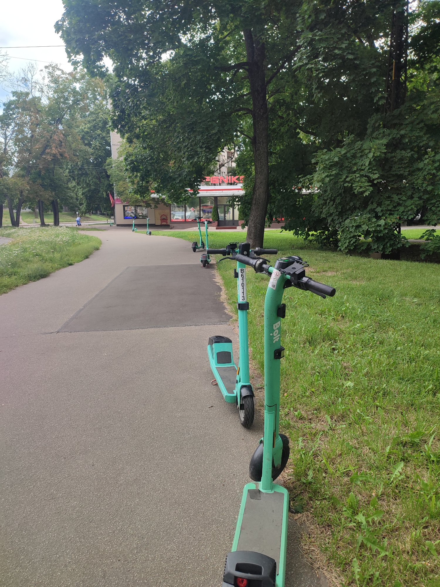 In Riga, Latvia, a paved pathway curves through a grassy park. Several mint-green electric scooters are parked in a row along the right side of the path, their handlebars extending upwards. One scooter is closer to the viewer, with a black base and silver accents. Further down the path, a small, light-blue structure with a red sign that reads "PANIK'S" is visible. A person is riding a small blue bicycle in the distance on the left side of the path. Tall, leafy trees line the background, casting shadows on the scene. The sky is overcast.