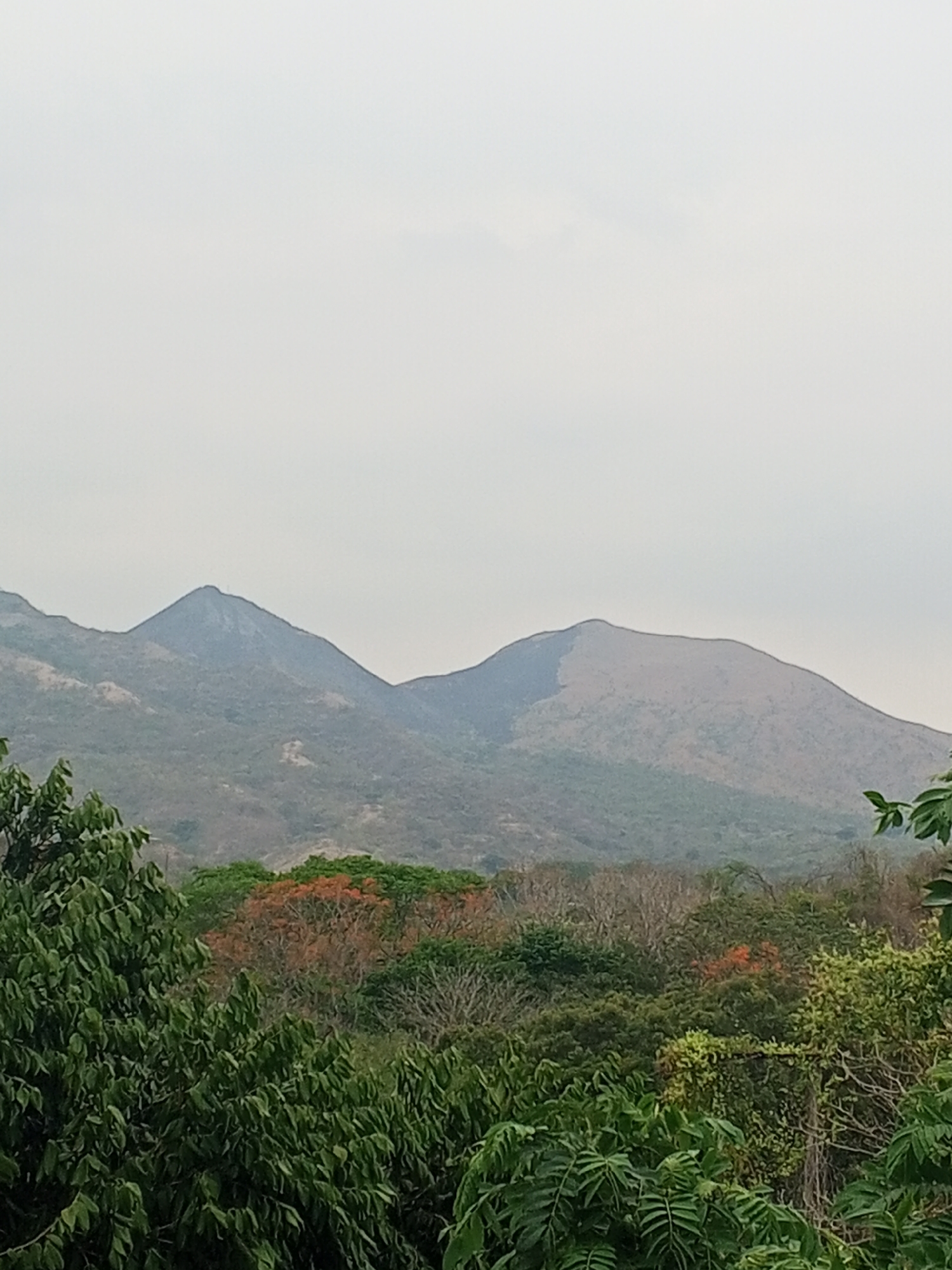 The image depicts a landscape scene in Tinaquillo, Venezuela, featuring two prominent mountains in the background. The mountain on the left appears steeper and darker in color, while the mountain on the right has a more rounded shape and a lighter, brownish hue. A layer of dense green vegetation covers the area between the viewer and the mountains. In the foreground, a variety of trees and shrubs with dark green leaves create a thick canopy. Some trees in the middle ground exhibit reddish-orange foliage. The sky is overcast and grey. There are no visible people, subjects, objects, actions, or interactions identified other than the natural environment.