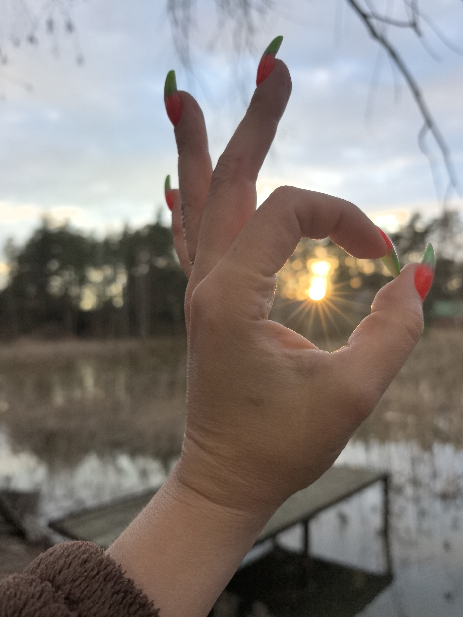 The image shows a close-up of a person's hand performing an "OK" gesture, framing the setting sun. The hand's nails are long, pointed, and painted a vibrant red with distinct green tips. The thumb and index finger form a circle around the sun, which appears as a bright, star-like burst of light in the background.
The setting is an outdoor, natural environment at sunset in what is likely Noviy, Russia. A body of water, possibly a lake or pond, occupies the middle ground, its surface reflecting the subdued sky. Beyond the water, a line of trees forms the distant treeline, partially silhouetted against the twilight sky. A wooden structure, resembling a small dock or bench, is faintly visible near the water in the lower part of the scene. The sky above transitions from a pale blue to softer hues as the sun dips below the horizon.
The person's wrist and forearm are visible in the foreground, with a cuff of soft, brown, textured fabric, suggesting a warm garment like a sweater or jacket. The time of day is clearly sunset due to the prominent, low-lying sun. No visible text is present in the image. The photograph captures a moment of natural beauty, focusing on the interplay of the hand gesture with the sunset.