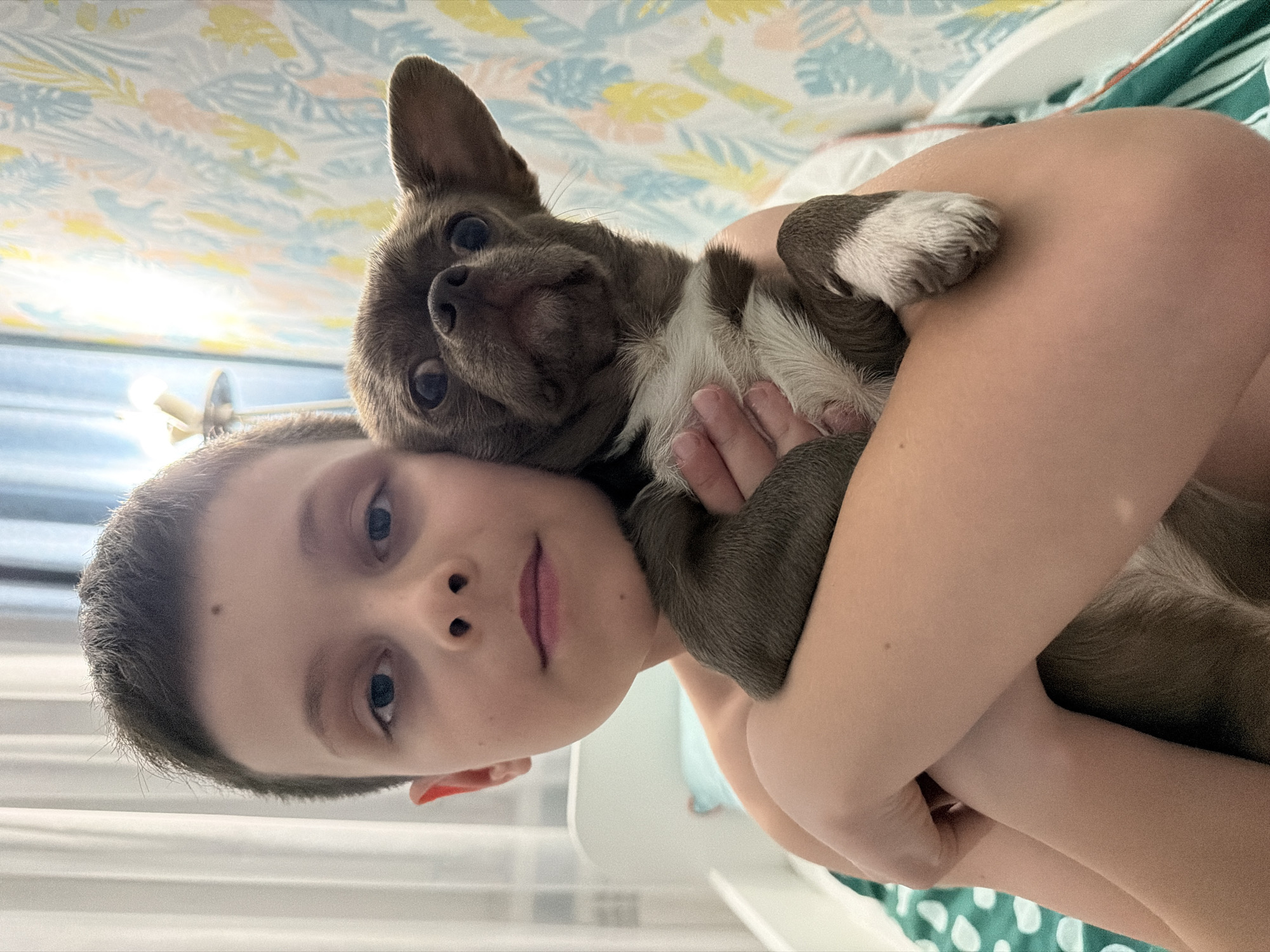 A young boy with short, dark hair and blue eyes is holding a small dog close to his face. The dog, which appears to be a Chihuahua mix, is brown and white. The boy is looking directly at the camera with a neutral expression. The background shows a bed with patterned bedding and what looks like wallpaper with a floral design. The scene appears to be indoors. There is no information to suggest that the location is Votkinsk, Russia.