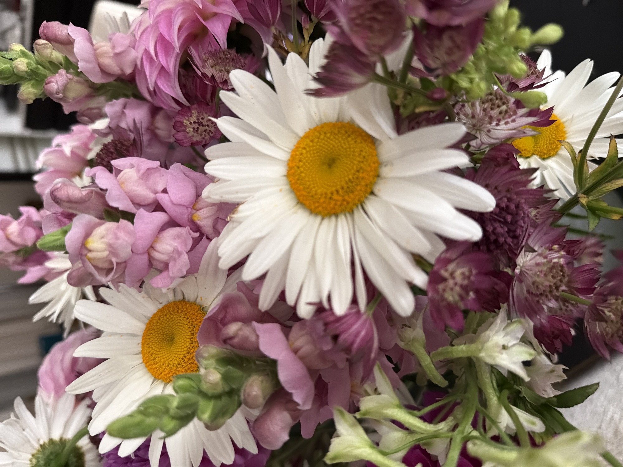 A close-up, high-angle shot captures a vibrant bouquet of flowers dominated by white daisies with bright yellow centers. Interspersed are delicate pink snapdragons and clusters of deep purple astrantia. The flowers are arranged closely together, creating a rich and textured visual. Green foliage and stems are visible throughout the arrangement, adding depth and contrast. The background is softly blurred, suggesting an indoor setting, but offers no specific environmental cues to pinpoint a location within Moscow, Russia, or any other city. There are no people, actions, or interactions depicted in the image.