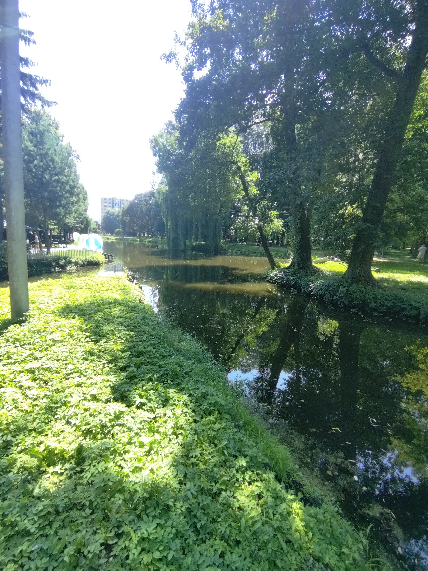The image depicts a tranquil park scene, likely in Khmelnytskyi, Ukraine, given the information. A calm body of water, possibly a pond or canal, occupies the right half of the frame, reflecting the surrounding greenery and trees. The left side of the image is dominated by a lush, green ground cover of low-lying plants, bathed in dappled sunlight.
Along the water's edge, a few trees with full canopies cast shadows. In the distance, across the water, a white fence separates the park area from a patch of grass. Behind the fence, two large, inflatable, translucent spheres, one white and one light blue, are visible, possibly intended for recreational use. A few people are standing near the fence, appearing to be observing the spheres. Further in the background, a multi-story building, likely an apartment block, rises above the treeline, indicating the park's urban setting.
The overall atmosphere is serene and natural, with the water and abundant vegetation creating a peaceful environment. The presence of the inflatable spheres suggests a public park with amenities for leisure.