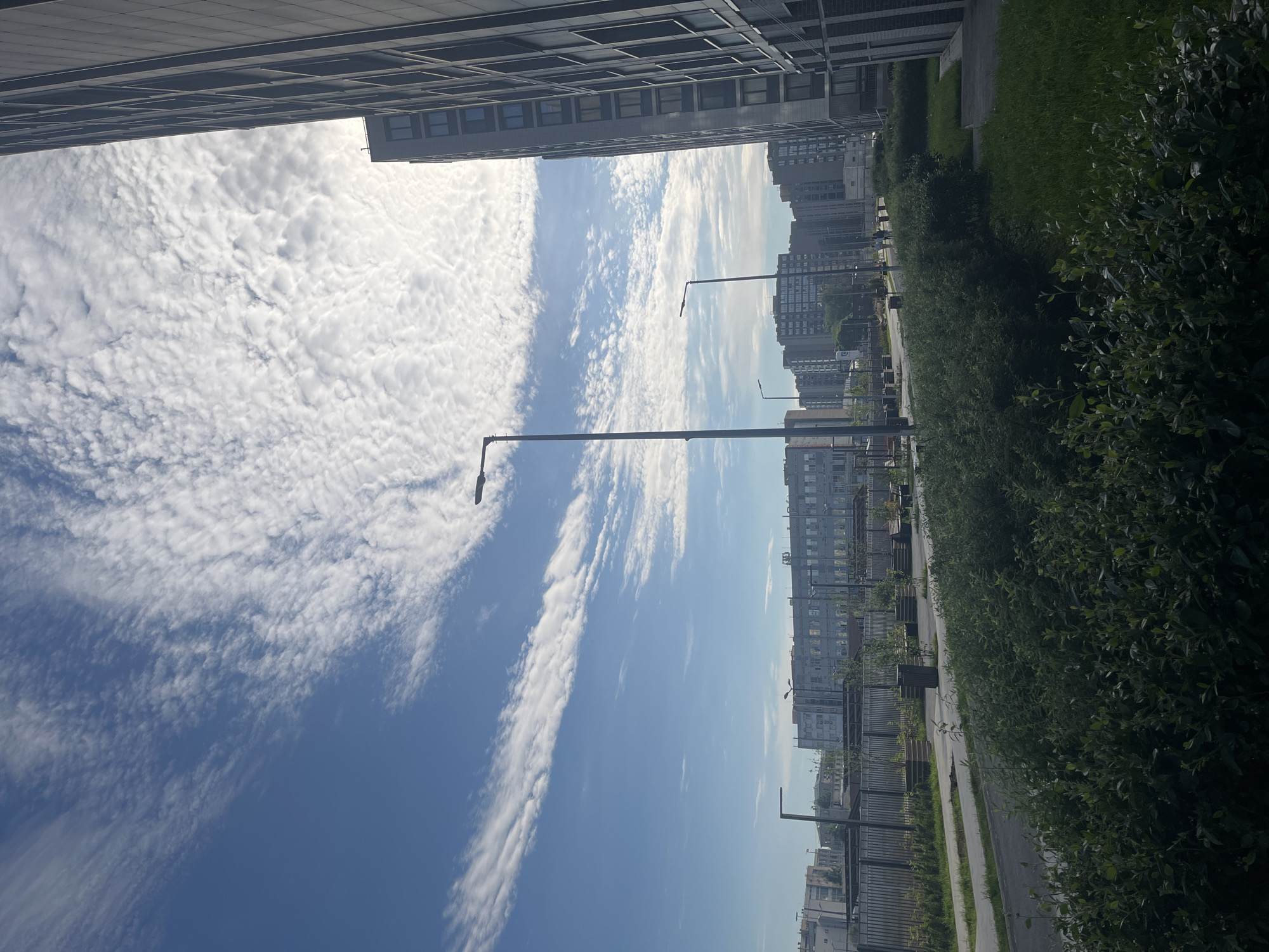 The image depicts a residential area in Saint Petersburg, Russia, characterized by modern multi-story buildings, landscaping, and a clear sky. In the foreground, dense green bushes line a pathway. Beyond the bushes, a paved walkway or road curves to the left, bordered by a grass strip and planters. In the middle ground, a row of streetlights stands along the path. Further back, a long, low-rise building with many windows is visible, with a fence in front of it. A series of taller, modern apartment buildings stretch across the horizon. The sky is blue and partially filled with wispy white clouds. The overall scene conveys a sense of urban development with integrated green spaces.