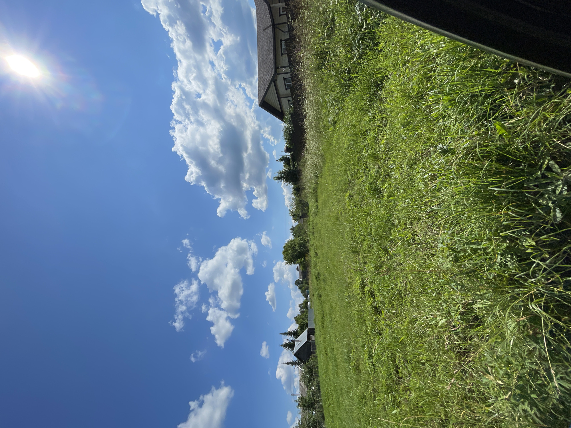 The image depicts a sunlit, rural landscape under a bright blue sky with scattered white clouds. In the foreground, a field of tall green grass extends into the middle ground. Several structures are visible in the distance. To the left, a small, dark wooden house with a gray roof is partially obscured by trees. Further to the left, more houses and trees suggest a village. On the right side of the image, a larger, modern house with a beige exterior and a dark roof is situated behind a dense hedge of green foliage and white wildflowers. The sun is high in the sky on the right, casting a bright glare. The scene appears to be the outskirts of the village of Дресвяново, Russia, given the rural architecture and vegetation. There are no people or animals visible in the image.