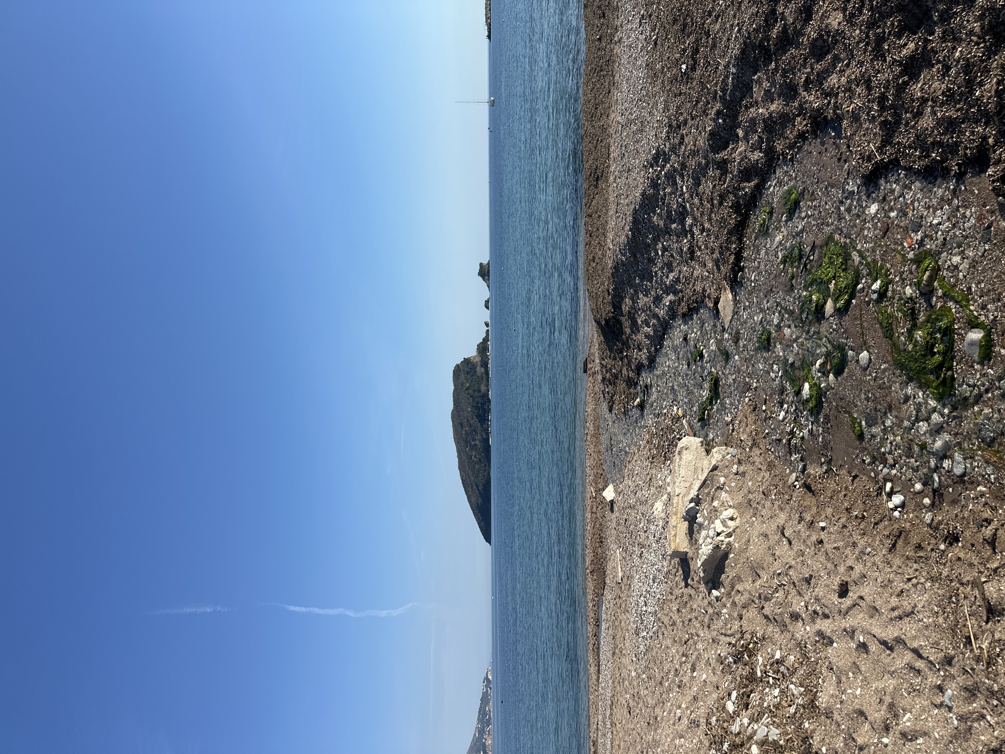 The image shows a beach scene near Budva, Montenegro. The sky is clear blue with a faint contrail. The sea is calm and blue, with a small island visible in the distance. The beach is composed of sand, pebbles, and seaweed. Patches of green algae grow near the water's edge. There are no people visible in the image.