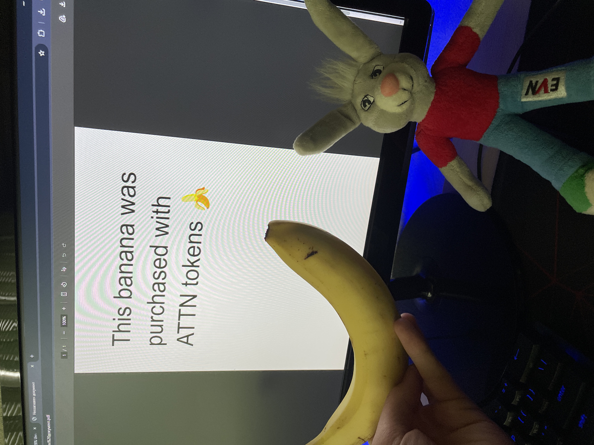 A vertically oriented photograph, initially rotated 90 degrees counter-clockwise, depicts a desk setup in Zlatograd, Bulgaria. The central focus is a computer monitor displaying a white document with prominent text that reads: "This banana was purchased with ATTN tokens," accompanied by a small banana emoji. The document interface shows "1/1" and "100%," alongside icons for various functions. Browser tabs visible at the top left of the screen include "Неозаглавен документ" (Untitled document) and "н%20документ.pdf."
A human hand holds a ripe yellow banana, with some minor blemishes, towards the bottom right of the screen. Perched above the monitor is a grey plush rabbit toy, dressed in a red shirt and blue pants, with "EVN" clearly embroidered on one pant leg. The background behind the monitor is dark, featuring a blue ambient light. Partially visible in the lower right is a black keyboard with blue backlighting, showing the "enter" key. The scene suggests an indoor workspace, potentially in a dimly lit environment.