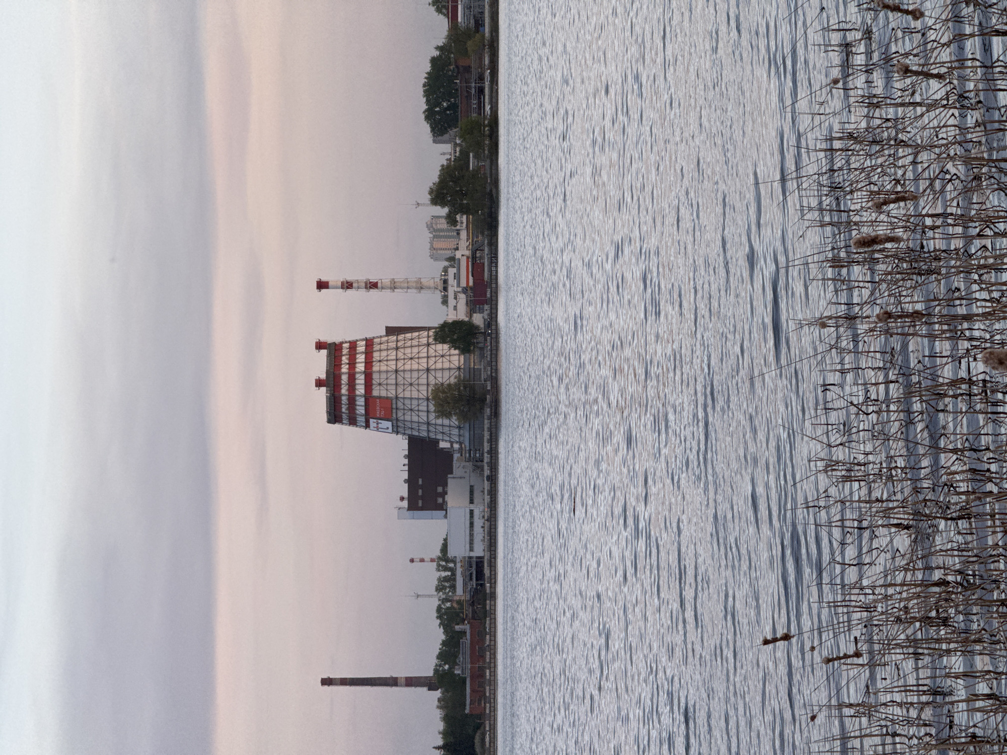 The image depicts a waterfront view of Izhevsk, Russia. On the left side is an industrial complex, likely a power plant, featuring prominent smokestacks and infrastructure. The building has a large lattice structure painted with red and white stripes. Further along the shoreline, there are additional industrial buildings and smokestacks, interspersed with trees. The right side of the image is dominated by water, possibly a lake or river, with rippling water texture. Dried reeds or grasses are visible along the water's edge in the lower right corner. The sky appears overcast, suggesting an early morning or late afternoon.