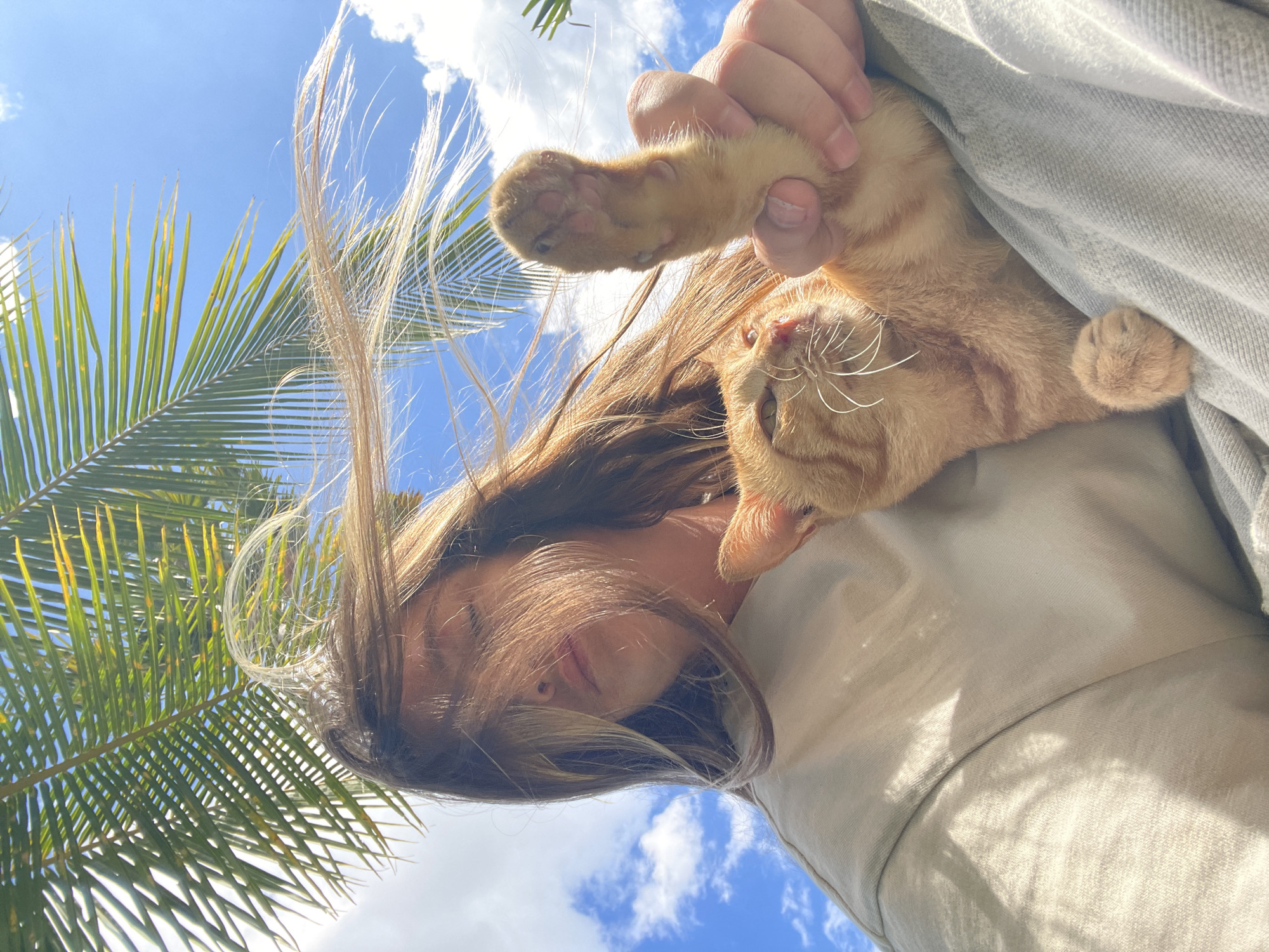 A low-angle, close-up, medium-shot photograph captures a person and an orange tabby cat on a sunny day. The person, with long, wind-blown brown hair partially obscuring their face, wears a light-colored crewneck sweatshirt. Their eyes are closed, and their lips are slightly parted. The cat, held in the person's arms, faces the camera with its mouth open and whiskers splayed. Its front right paw is raised and held by the person's hand, revealing its pink paw pads. In the background, lush green palm fronds cast dappled shadows on the person's clothing, and a bright blue sky with scattered white clouds is visible. The scene appears to be outdoors, possibly in a tropical or coastal area, consistent with locations in North Kuta, Indonesia, given the vegetation and clear skies.