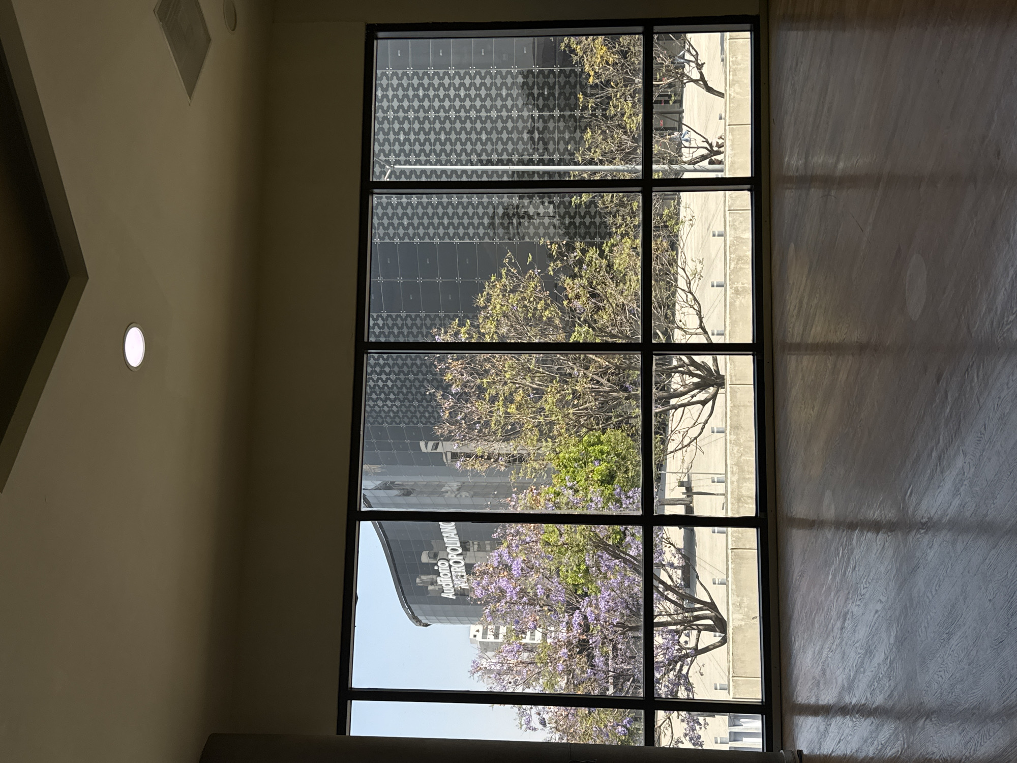 The image shows an interior view through a large window in what appears to be a room with off-white walls and a light-colored floor with a wood-like texture. Outside the window, there are trees with purple blossoms. Reflections of buildings are visible in the windows. One of the buildings features the text "Auditorio Metropolitano" (Metropolitan Auditorium), indicating that the location is likely in the city of Puebla, Mexico, where this auditorium is located. The day is sunny, as can be surmised by the bright outdoor lighting. The window frame is black. There are no people visible in the immediate view.