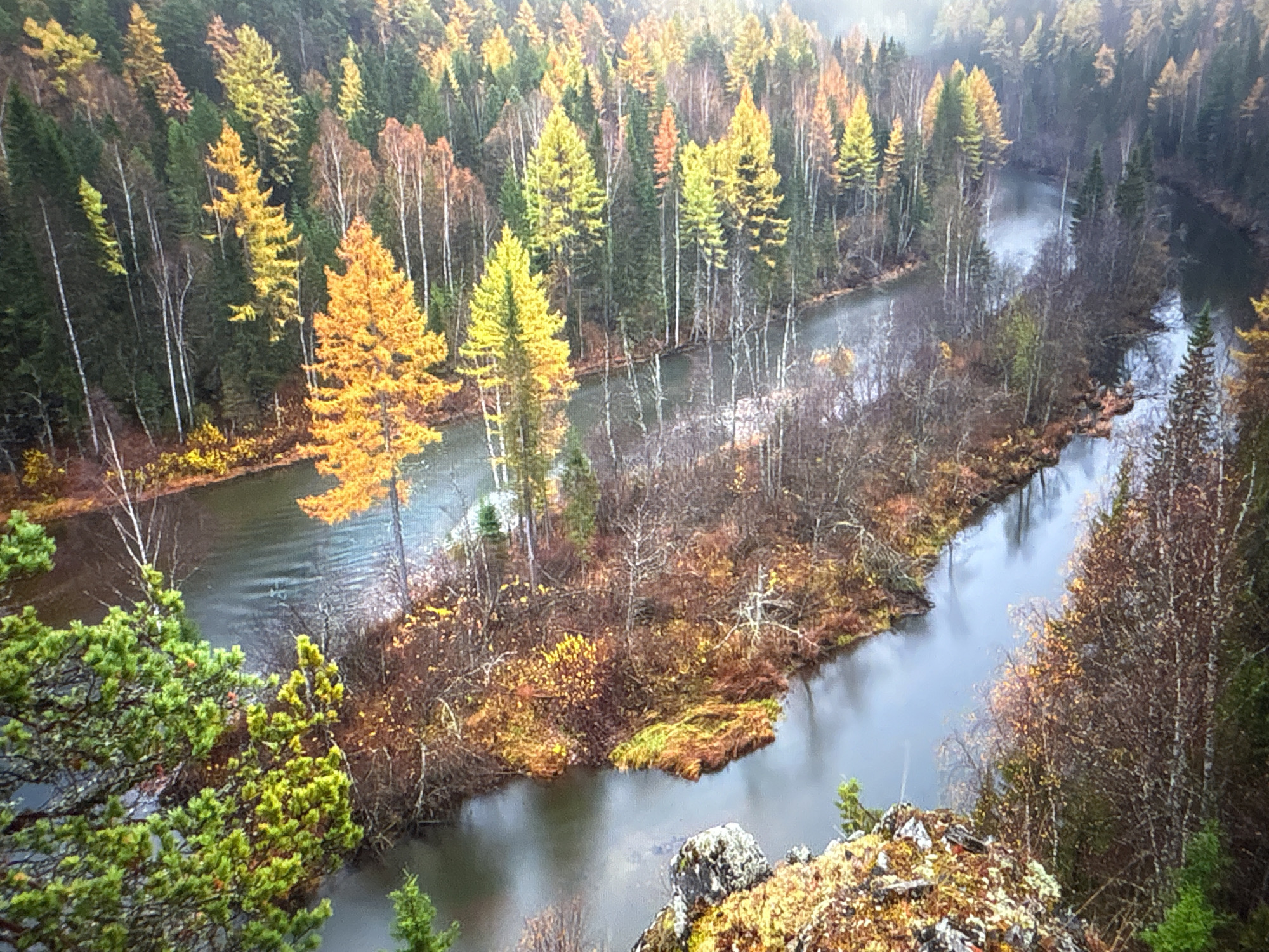 The image shows a landscape with a winding river flowing through a forest. Trees of various colors, including green, yellow, and orange, are visible on both sides of the river. The scene appears to be viewed from an elevated position. There are rocks and vegetation in the foreground. The image does not appear to be taken in Mława, Poland, based on the topography and vegetation.