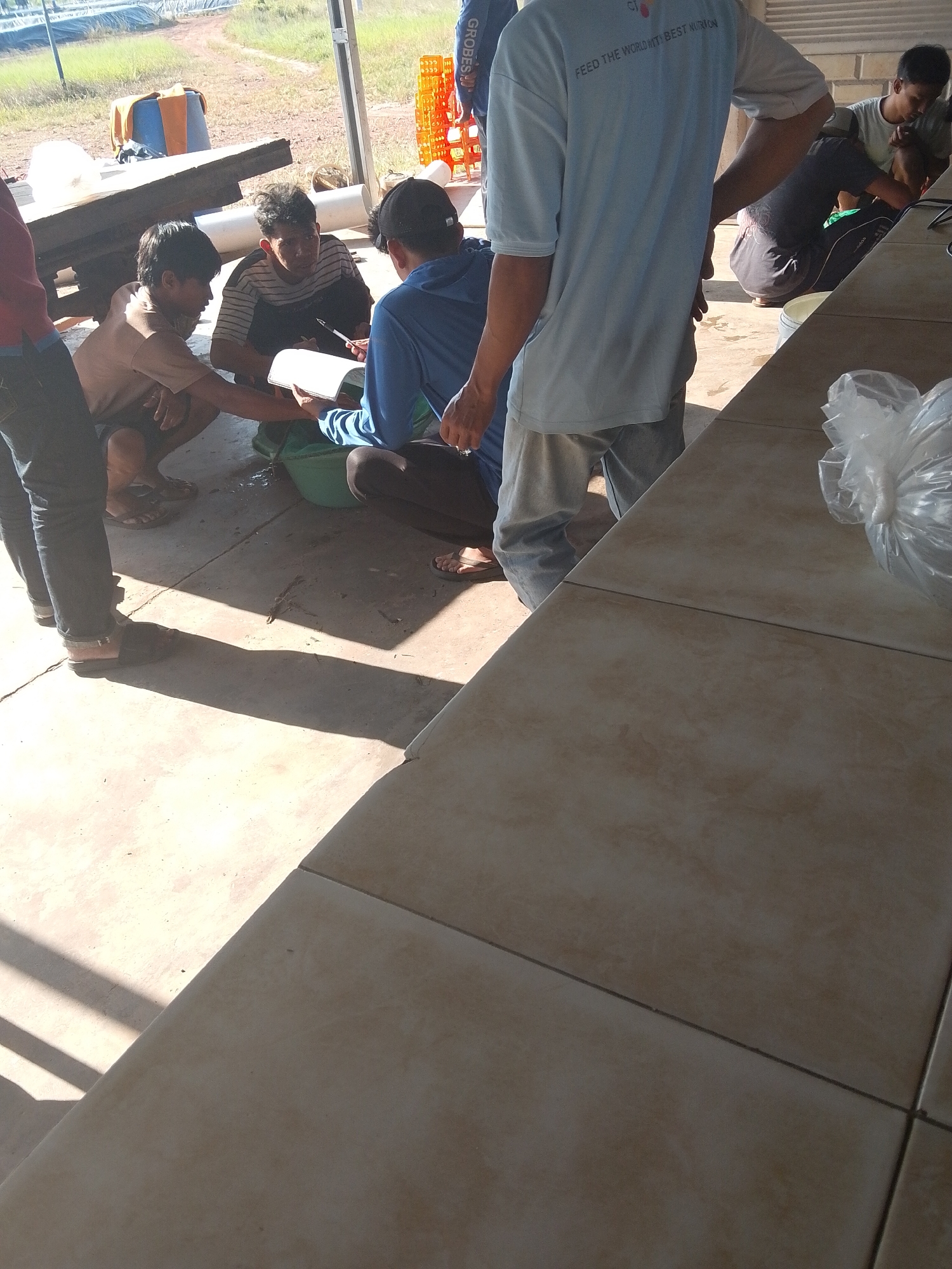 In Bukit Ketok, Indonesia, a group of four individuals are gathered on a concrete floor beneath an outdoor awning. Two individuals are kneeling, one in a light blue t-shirt with text that reads "FEED THE WORLD WITH BEST NUTRITION," and the other in a dark blue t-shirt. The person in the blue t-shirt is holding a white notebook or paper. Another individual, wearing a striped t-shirt, is crouched down and appears to be looking at the notebook. A fourth person, wearing a brown t-shirt, is also crouching. In the background, there is a wooden bench, some orange crates, and a white pipe. The ground is a combination of concrete and dirt, with shadows cast from overhead structures.