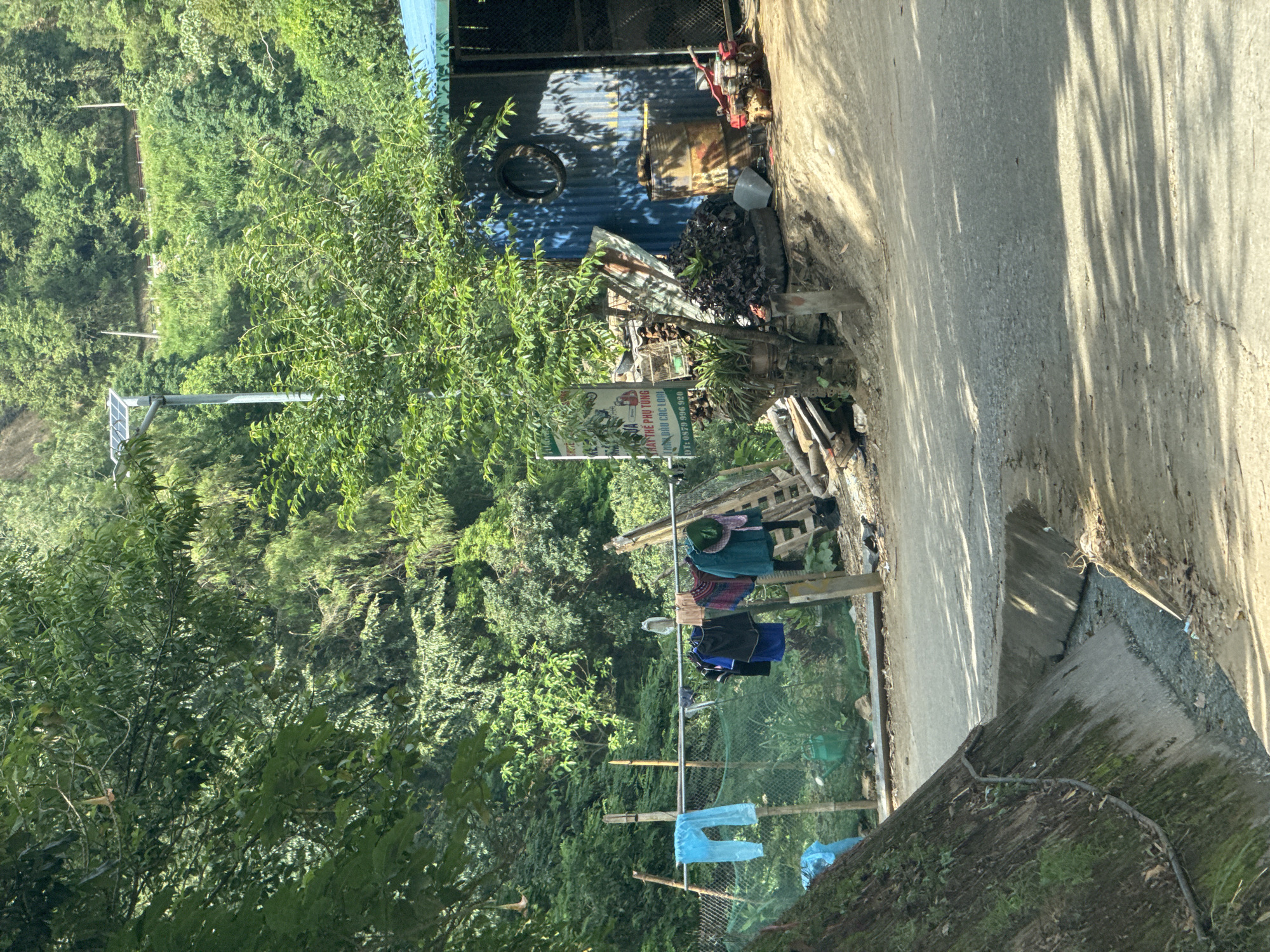This image captures a rustic, sunlit scene in a rural or semi-rural area of Lao Chải, Vietnam. The setting is characterized by dense, lush green vegetation, suggesting a hilly or mountainous environment.
On the right side of the frame, a narrow, unpaved road or pathway stretches, marked by distinct, elongated shadows from unseen trees, indicating it's daytime, likely morning or late afternoon. A concrete drainage ditch or structure runs parallel to the road.
In the mid-ground, a blue corrugated metal building or shed is visible, featuring a circular opening. Adjacent to this structure, a collection of objects is gathered, including a rusty barrel, what appears to be part of a small engine or red machinery, and various piles of debris and dark-leaved plants.
Towards the center-left, clothes are seen hanging to dry on a line strung between wooden posts, including blue items (possibly plastic bags or waterproof clothing), a dark blue shirt, and a patterned garment. Nearby, a metal pole with a solar panel is erected amidst the greenery, suggesting a local power source. A green net or fence runs along this area.
A prominent sign, written in Vietnamese, is visible near the clothesline. It reads "HAY THỂ PHỤ TÙNG" (likely "Good spare parts" or "Motorcycle parts"), "TÍN NHÀ ĐƯỜNG CÁC LOẠI" (possibly "Trusted household appliances of all kinds" or related to road/vehicle types), and includes a phone number: "DT: 0879 996 920". This text indicates the presence of a repair or supply shop, likely for motorcycles or general goods, adding to the lived-in, functional atmosphere of the scene. No people are visible, but the hanging clothes and the nature of the visible structures and objects suggest everyday life and activity.