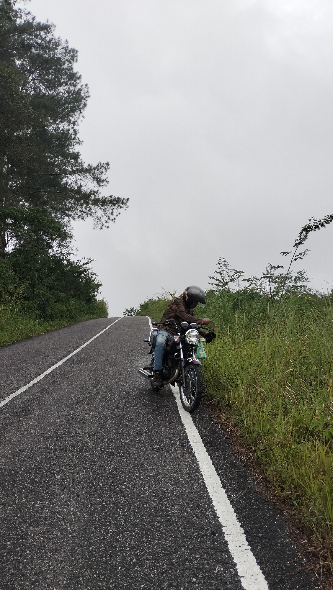The image depicts a person on a motorcycle on an asphalt road with a white line marking. The motorcycle is dark colored, and the person is wearing a helmet and a brown jacket. The road curves upwards into the distance. To the right of the road is tall, green grass and some vegetation, with a few spindly trees reaching upwards. To the left of the road is a dense green hillside with more trees. The sky is overcast and gray, suggesting cloudy weather. The scene appears to be in a rural or elevated area, consistent with the terrain often found in regions like Bintangpermata, Indonesia, where winding roads and lush greenery are common.