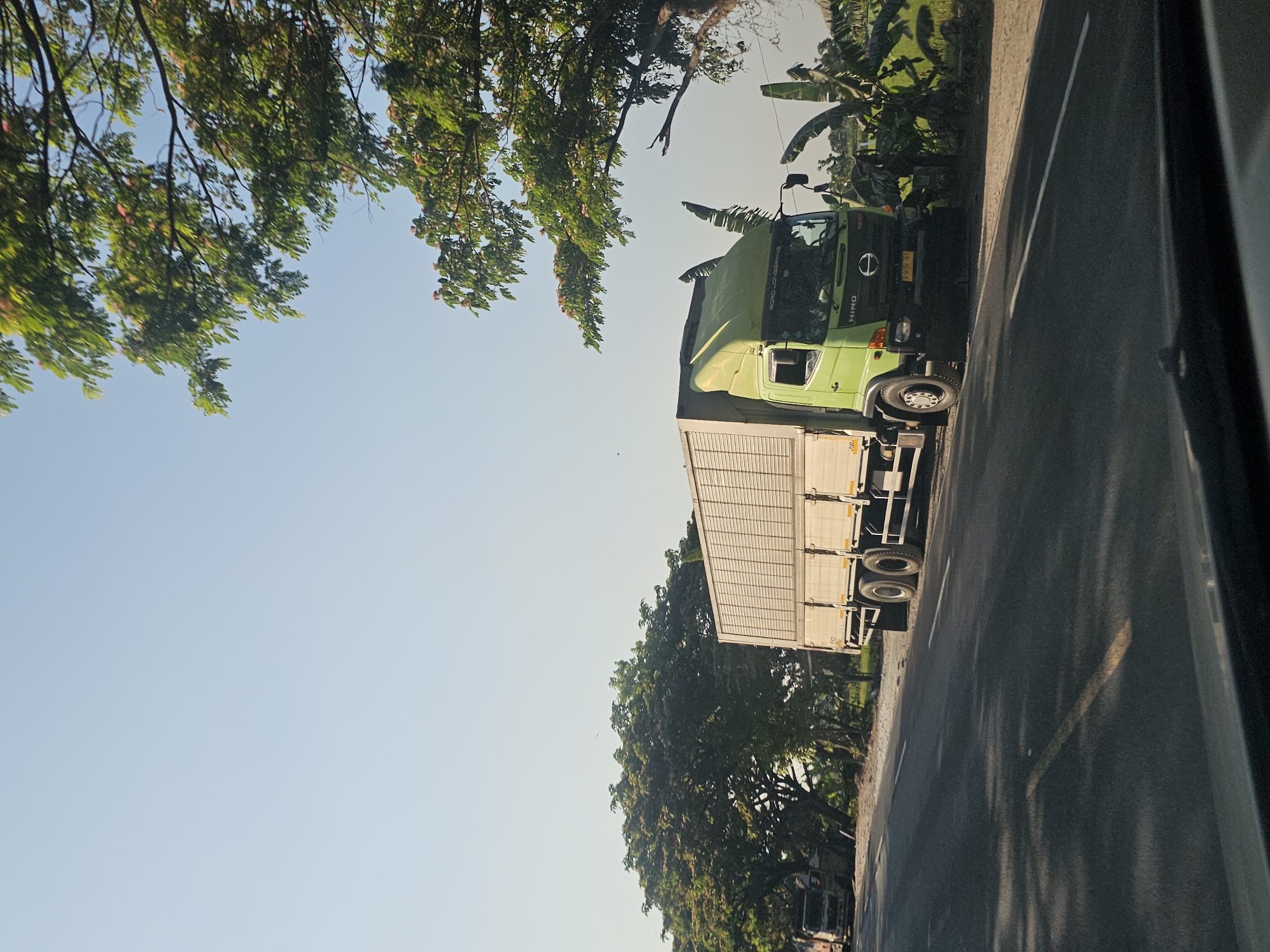 An eye-level, medium shot captures a light green Hino truck parked on the side of a paved road under a clear, pale blue sky. The truck is positioned in the right half of the frame, with its cargo box extending towards the left. The cargo box is rectangular with vertical ribbed panels. The front of the truck's cab is visible, featuring a black grille with a circular Hino logo and "HINO" written above it, along with the number "1900". A license plate with an Indonesian registration number is affixed to the front.
To the left of the truck, another truck, partially obscured, is parked further down the road. Dense green trees with lush foliage form a backdrop behind the trucks and the road, with some branches extending into the upper right corner of the frame. In the mid-ground, to the right of the Hino truck, banana trees with large leaves are present. The road itself is asphalt with white lane markings. Sunlight casts dappled shadows on the road surface, suggesting it is daytime. The background further to the right appears to be a field, possibly agricultural. The bottom of the image shows the interior of a vehicle, suggesting the photo was taken from a car. The scene is consistent with a rural or semi-rural area in Widang, Indonesia, likely along a main thoroughfare.