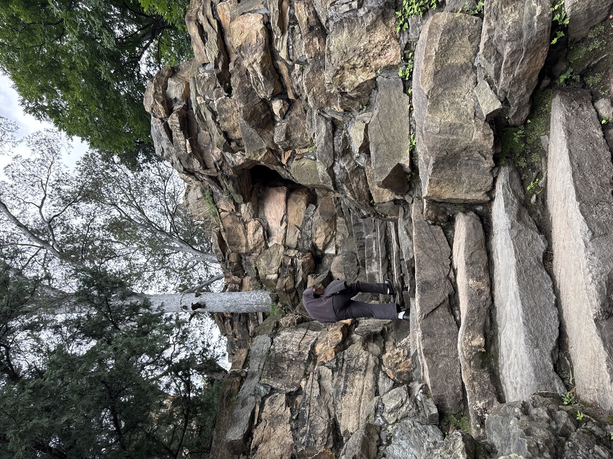 The image captures a person ascending a rugged stone staircase carved into a prominent rock formation in Haidian District, China. The individual, viewed from behind, is an adult wearing a dark-colored shirt or jacket, dark trousers, white socks, and dark shoes. A dark garment or item is carried over their left arm. The staircase comprises large, irregularly shaped grey and brown stone slabs, with small green plants and moss growing in the crevices. To the right of the ascending person, a substantial wall of stacked, irregular brown and grey rocks forms part of the landscape, featuring a dark, irregular cave-like opening or niche approximately midway up the formation. Above and behind the rockery, various trees are visible against a bright, overcast sky. These include dense, dark green coniferous foliage on the upper left, and a prominent tree with light-colored, possibly white bark on the upper left-center, alongside other green-leafed deciduous trees. Small green vegetation is interspersed throughout the rocky terrain and along the steps.
