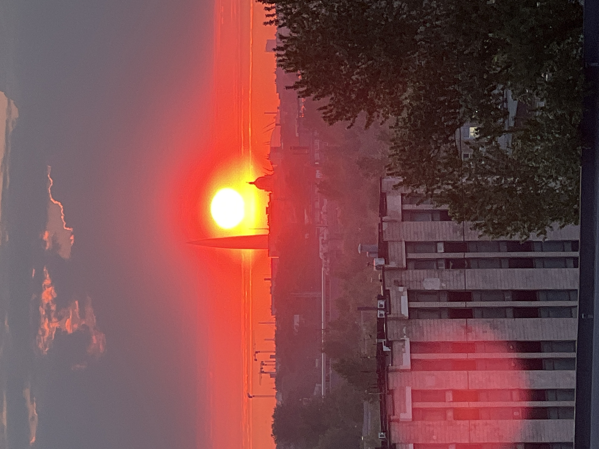 The image depicts a bright sun low on the horizon in what appears to be a sunset or sunrise, with a reddish-orange sky. In the foreground, there is a tall building with multiple floors and visible windows, partly obscured by trees. Across the sky, there is city skyline. Considering the architecture and the general atmosphere, the location is likely in Saint Petersburg, Russia.