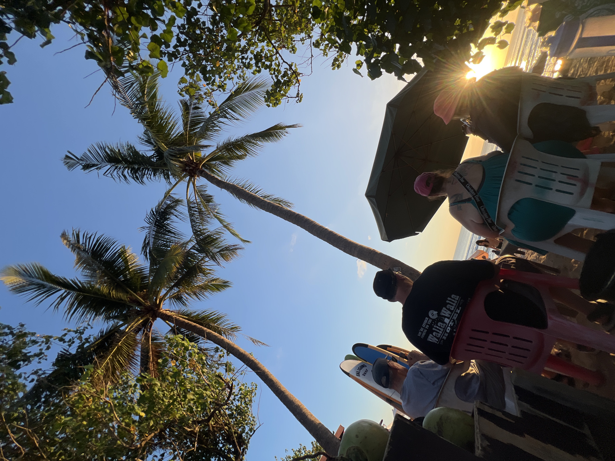 The image depicts a beach scene in Kuta, Indonesia, likely during sunset. Two tall palm trees dominate the upper portion of the frame, with lush green foliage framing the sky from the left and right edges. Beneath the palm trees, several people are seated on chairs on the sand, facing the ocean and the setting sun. In the foreground, a stack of surfboards is leaning against a dark surface, and coconuts are visible on the left. The people appear to be casually dressed, with some wearing hats. One person in the foreground is wearing a black t-shirt with text that reads "YOU'RE EITHER COMING TO THE WALLA WALLA HOTEL." Another person is wearing a teal top and a pink baseball cap, and a third person is wearing a pink hat. The sun is setting on the horizon, casting a warm glow and creating lens flare. The ocean is visible in the background, with gentle waves lapping at the shore. The overall atmosphere is relaxed and tropical.