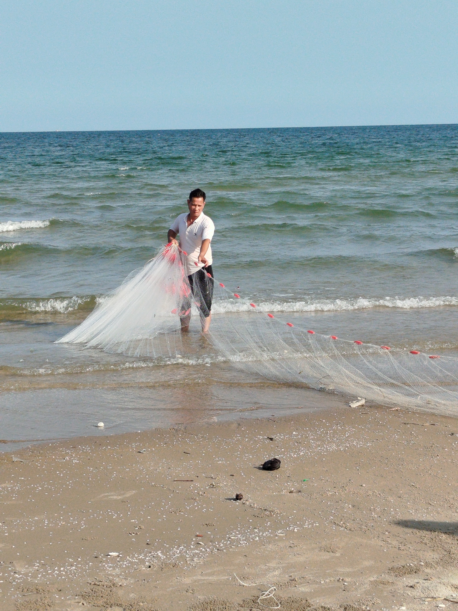 A man stands in shallow water on a sandy beach, holding a large white fishing net with red floats. The net extends from his hands out into the water and onto the beach. The sky is clear and blue, and the water is calm with small waves. The beach has some debris and seashells scattered across the sand.