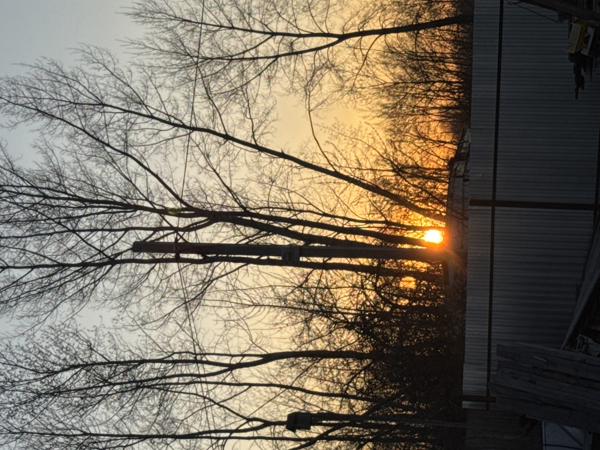 The image shows a sunset viewed through bare tree branches, possibly taken in an urban or suburban environment. A utility pole is visible among the trees. The sun is low on the horizon, casting a bright orange glow through the branches. Part of a building, likely a shed or garage, is seen on the right side of the image, and the location in the city of Chaikovsky, Russia is unknown.