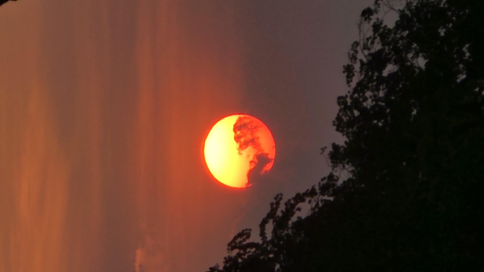 The image shows a vivid red and orange sunset observed from Nha Trang, Vietnam. A large, circular sun dominates the center of the frame, partially obscured by clouds near its right side. To the right of the sun, silhouetted tree branches and leaves are visible. The sky exhibits a gradient of orange and red hues.