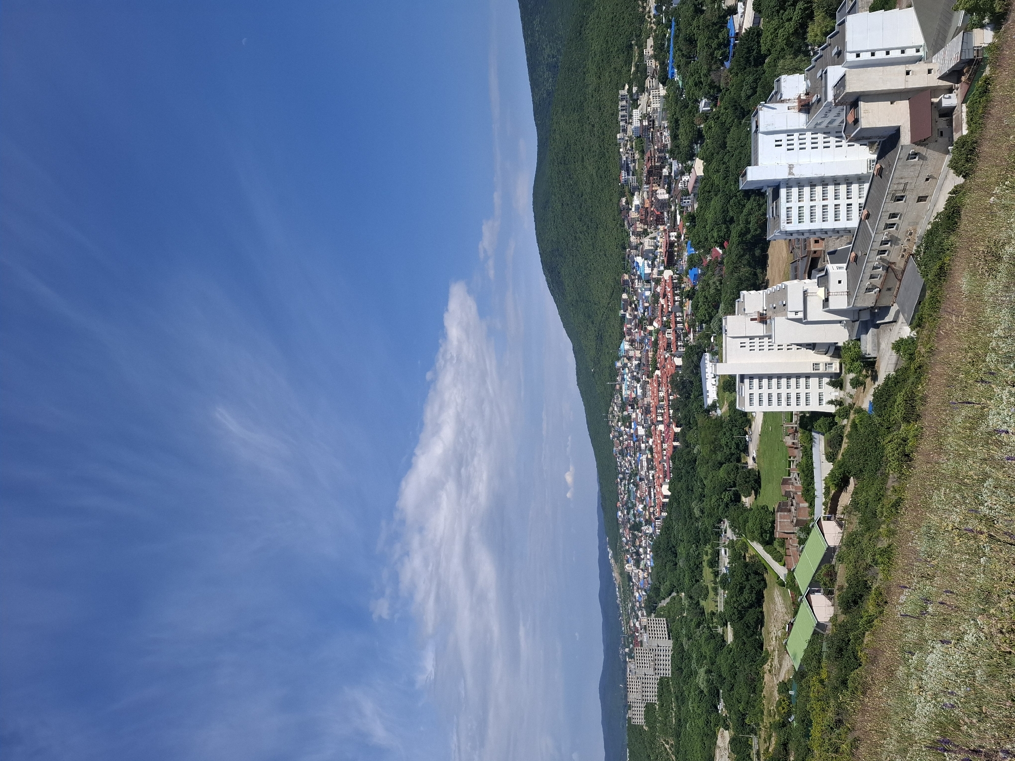 This is a high-angle, full outdoor shot of a cityscape nestled against a lush green mountain under a bright blue sky with scattered white wispy clouds. In the foreground, a hillside is covered in dry grasses and wildflowers. Below the hill, several buildings are visible. Closest to the foreground are two identical, single-story buildings with light pink walls and green roofs. To the right of these, a large, multi-story white building with numerous windows dominates the middle ground. Further into the middle ground, a cluster of buildings with red-tiled roofs forms a town or village, with more modern white buildings interspersed. In the background, a large, verdant mountain rises, its slopes covered in dense trees. Another undeveloped, multi-story building complex can be seen to the left of the town. The scene appears to be a sunny day in a coastal or mountainous region.