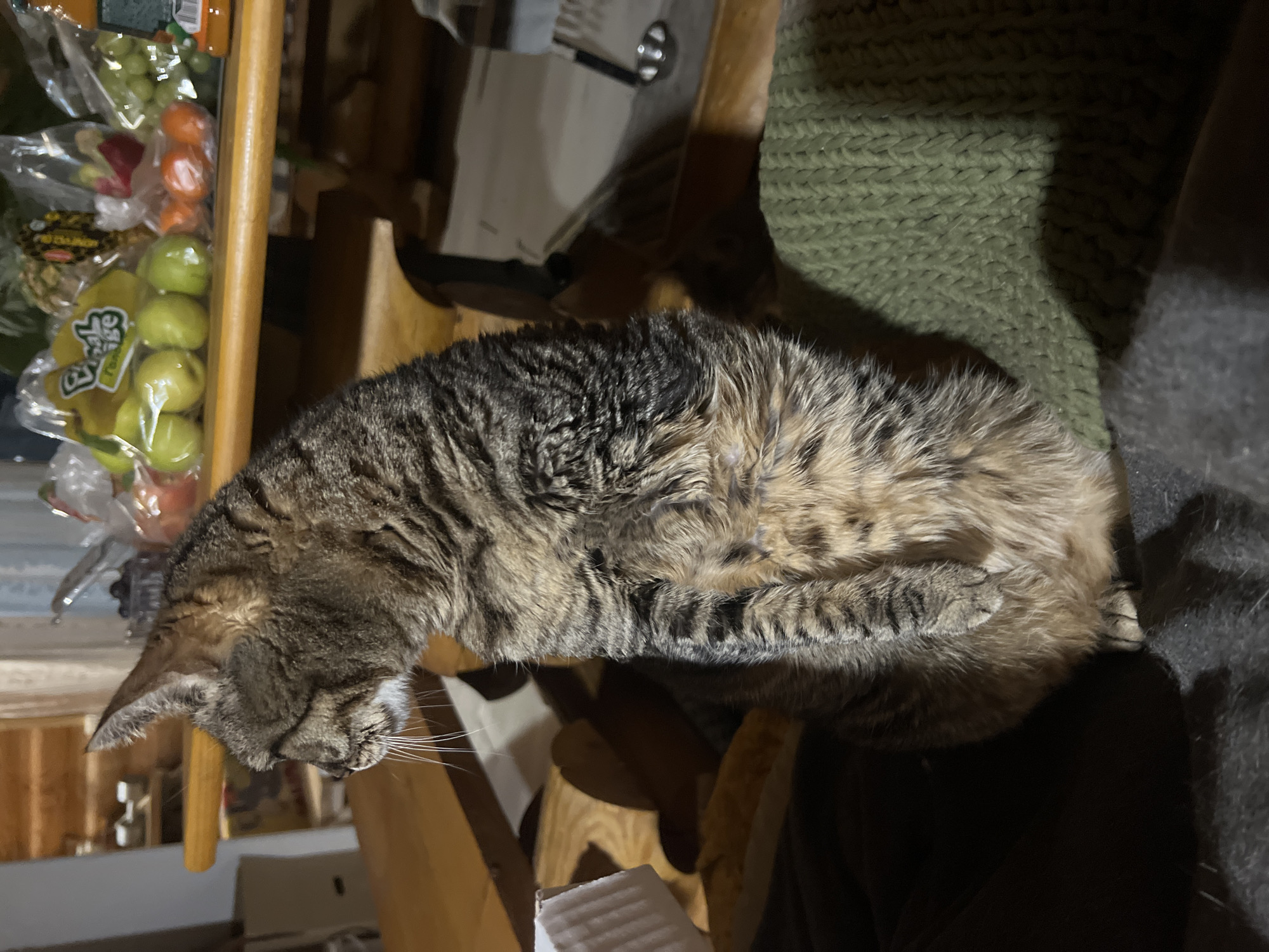 A tabby cat rests on a wooden chair covered with a green, knitted blanket. The cat is positioned near a table where bags of fruit, including apples and tangerines, are visible. The location is indicated as Ильинская Поляна Снт, Russia. The cat is curled up, appearing relaxed, with its paws tucked underneath its body. Part of a dark colored garment is visible on the right side of the image.