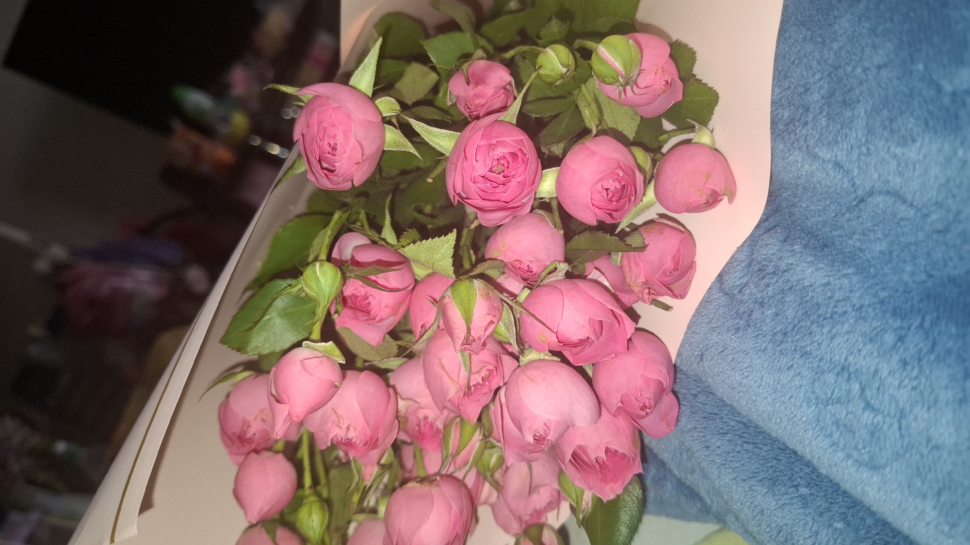 A bouquet of pink roses is displayed, partially wrapped in light-colored paper. The roses are clustered together, with some in full bloom and others as buds. Green leaves and stems are visible among the flowers. The bouquet rests on a textured blue fabric, possibly a blanket or upholstery, with a soft, fuzzy appearance. A light pink surface is beneath the bouquet and to its right. The background is out of focus and dark, with indistinct shapes and colors suggesting an indoor setting. There are no visible people or specific landmarks that would indicate a location in Shymkent, Kazakhstan.