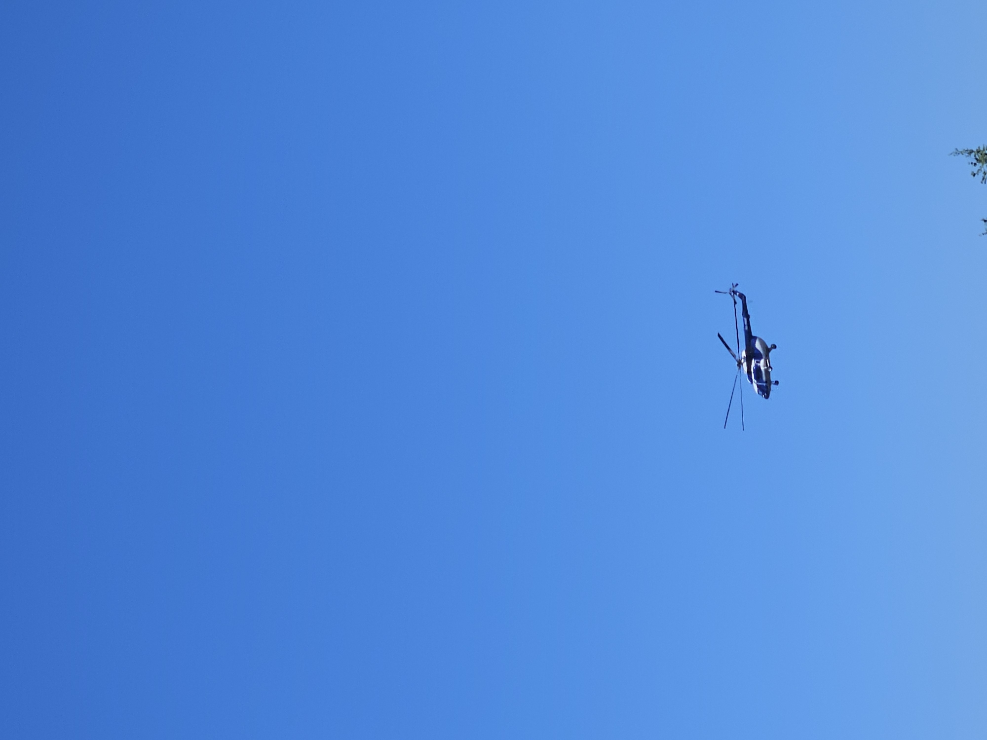 A low-angle shot depicts a helicopter in flight against a clear blue sky. The helicopter, primarily blue and white, is positioned in the upper right quadrant of the frame. It is identifiable as a helicopter due to its rotor blades and tail fin. The surrounding environment consists solely of a clear, uniform blue sky, indicating daytime and good weather conditions. The location in the city of Chaikovsky, Russia is not discernible from the visual information provided. No people are visible.