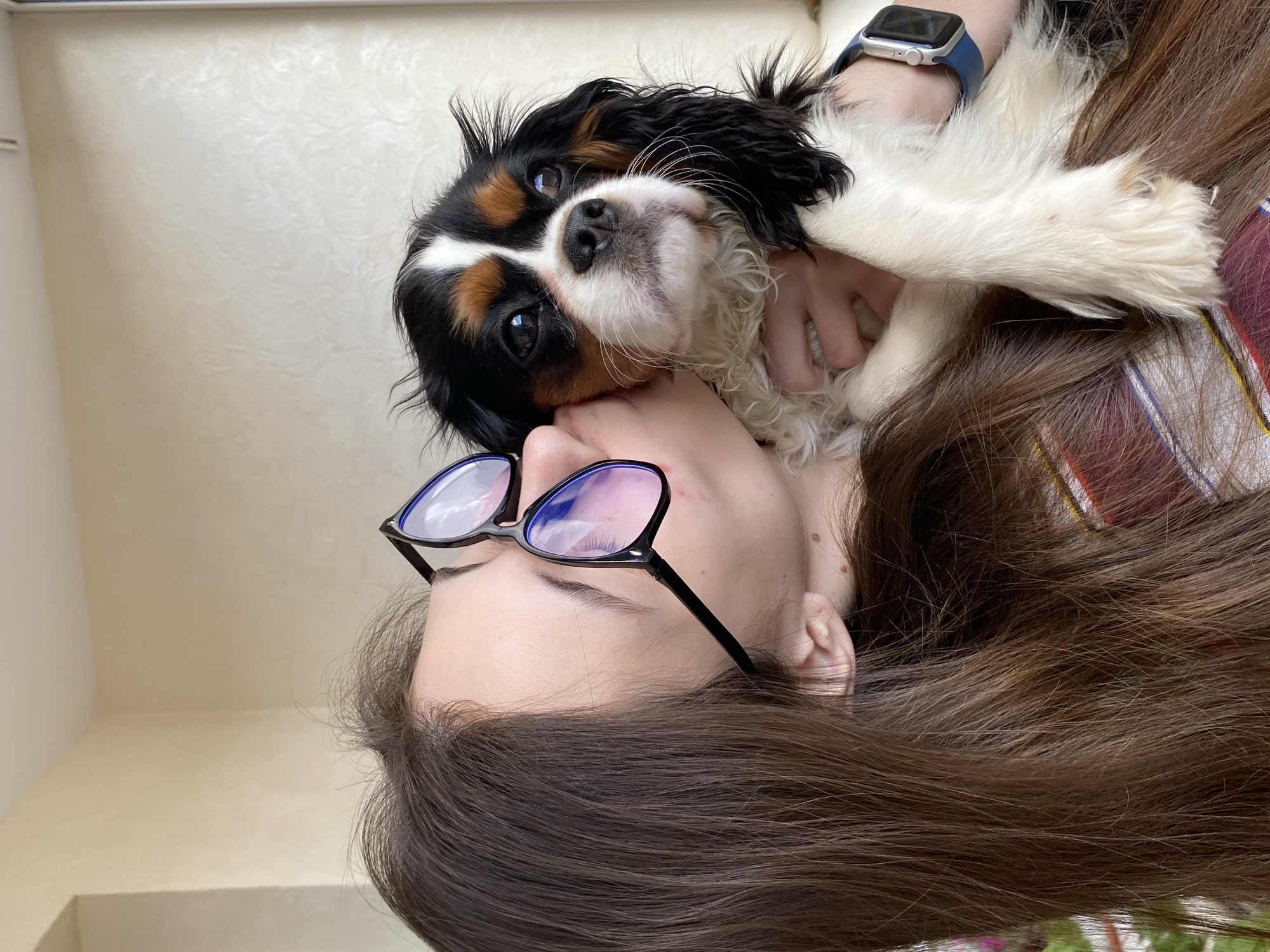This intimate image, taken from an overhead perspective, depicts a person affectionately interacting with a dog. The main subjects are a young person, likely female, and a tricolor Cavalier King Charles Spaniel.
The person has long, dark brown hair spread out, and is wearing black-rimmed glasses. A blue-banded smartwatch is visible on her left wrist, and a small portion of a red and brown plaid shirt is seen near her shoulder. She appears to be lying on her back, with her face close to the dog's.
The dog, a Cavalier King Charles Spaniel, exhibits distinctive black, white, and tan markings on its fluffy fur. It is looking directly towards the camera with a gentle expression, its snout resting near the person's face. One of the dog's white paws is visible resting on the person's chest or shoulder, suggesting a close cuddle or embrace.
The setting is indoors, with a plain, light-colored wall with subtle texture serving as the background. The lighting is soft and even, suggesting daytime. The overall mood is one of warmth and affection between the owner and their pet. No discernible text is visible on any objects in the image. This moment of connection occurs in Votkinsk, Russia.