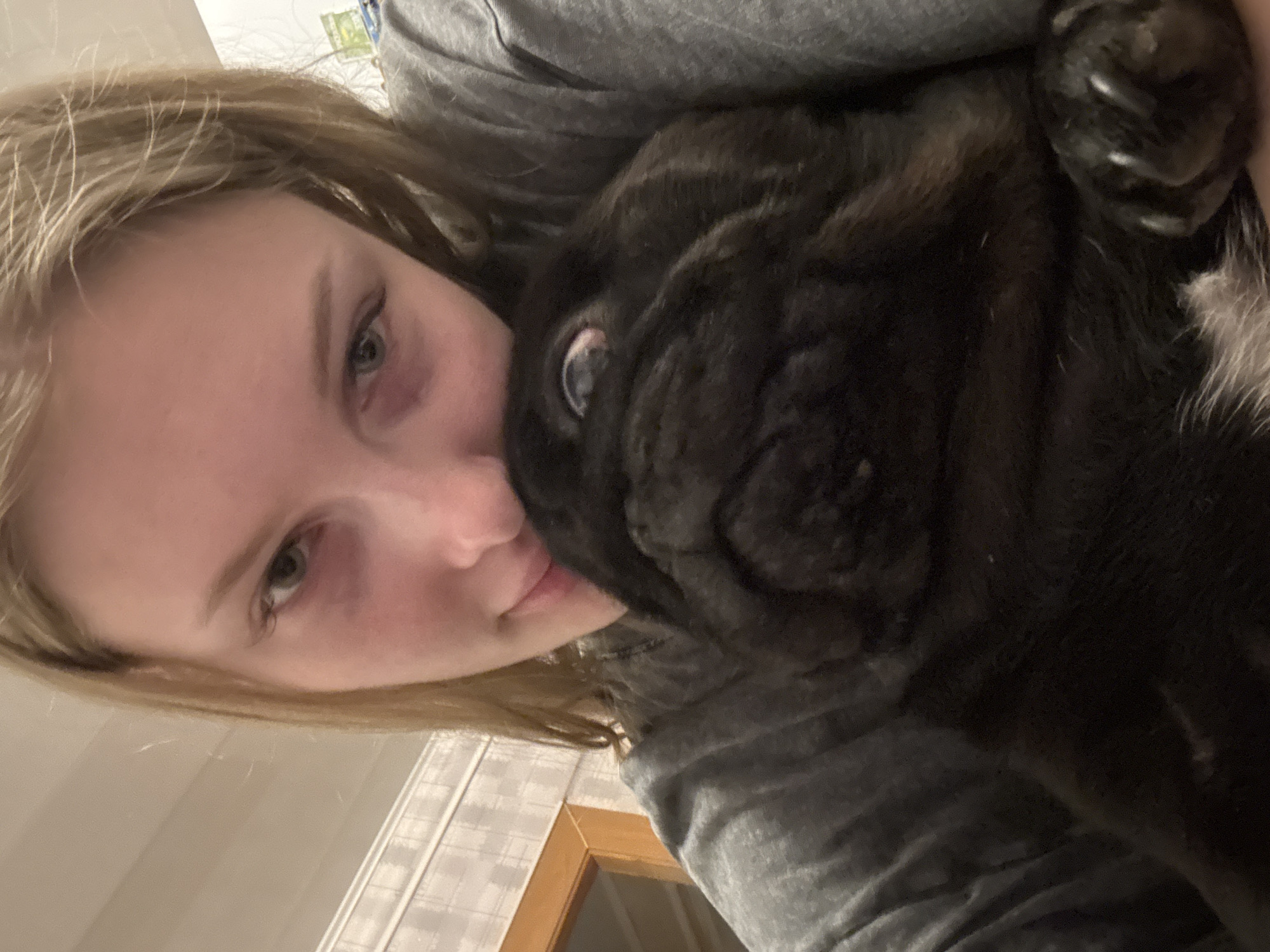 A person with fair skin and light brown hair is holding a black pug dog. The person is wearing a gray shirt. The location is indiscernible and cannot be determined as being in the city of Бородулино, Russia.