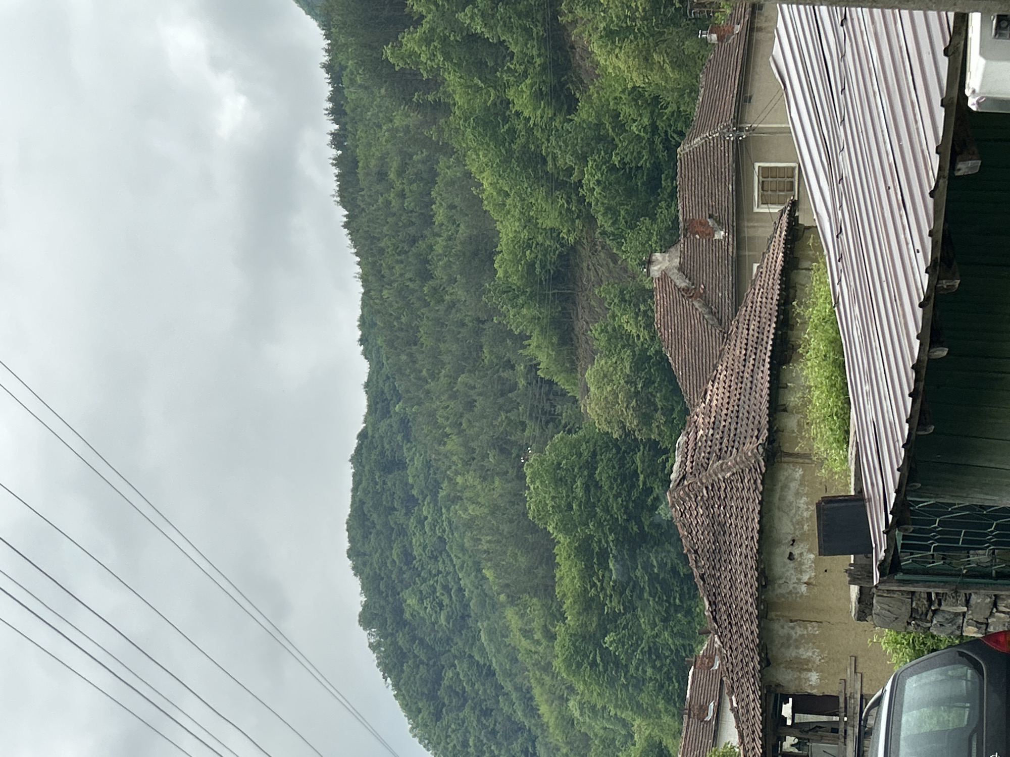 The image shows a view in a rural setting, possibly in Unknown, Unknown, featuring a lush, green hillside dense with trees. Overcast skies create a diffused light across the scene. In the foreground, there are residential buildings with tiled and corrugated metal roofs. Power lines run across the left side of the frame. A black car is partially visible on the right side of the frame, near the bottom edge. The buildings appear weathered, and the environment suggests a close proximity to nature. There are no people visible in the image.
