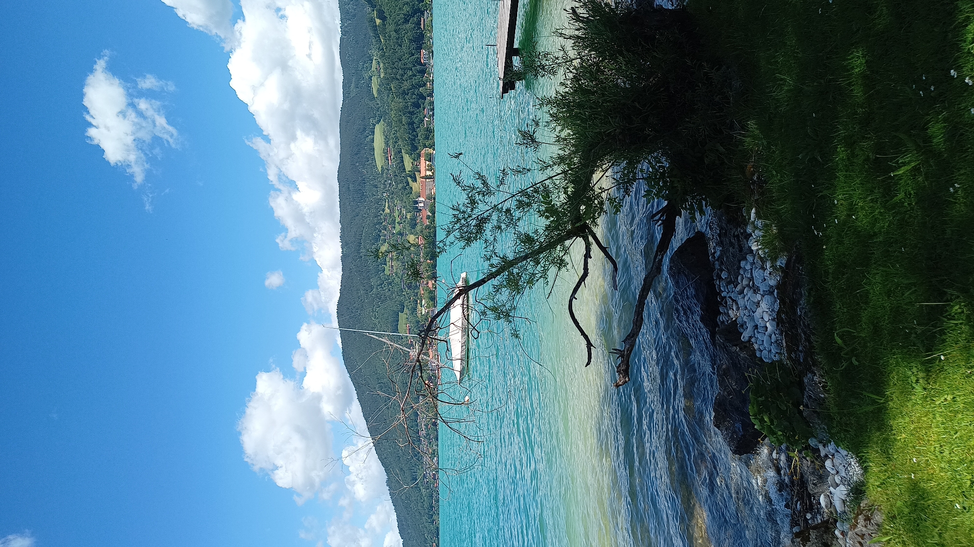 The image captures a serene scene at the Tegernsee lake in Rottach-Egern, Germany, on a bright, clear day. The turquoise water of the lake is the dominant feature, with gentle waves lapping at the rocky and pebbly shore in the foreground. A vibrant green lawn covers the right side of the frame, with a few small white flowers scattered amongst the grass.
In the middle ground, a white sailboat is moored on the lake, its sail covered by a protective tarp. A weathered tree branch extends out over the water from the right side of the frame, its bare twigs contrasting with the lush greenery. A wooden jetty juts out into the lake on the right side of the image.
The background is dominated by a large, forested mountain, its slopes dotted with houses and buildings, suggesting a town or village nestled on its side. The sky above is a brilliant blue, adorned with fluffy white clouds. The overall impression is one of tranquility and natural beauty, with a hint of human presence through the sailboat and buildings.