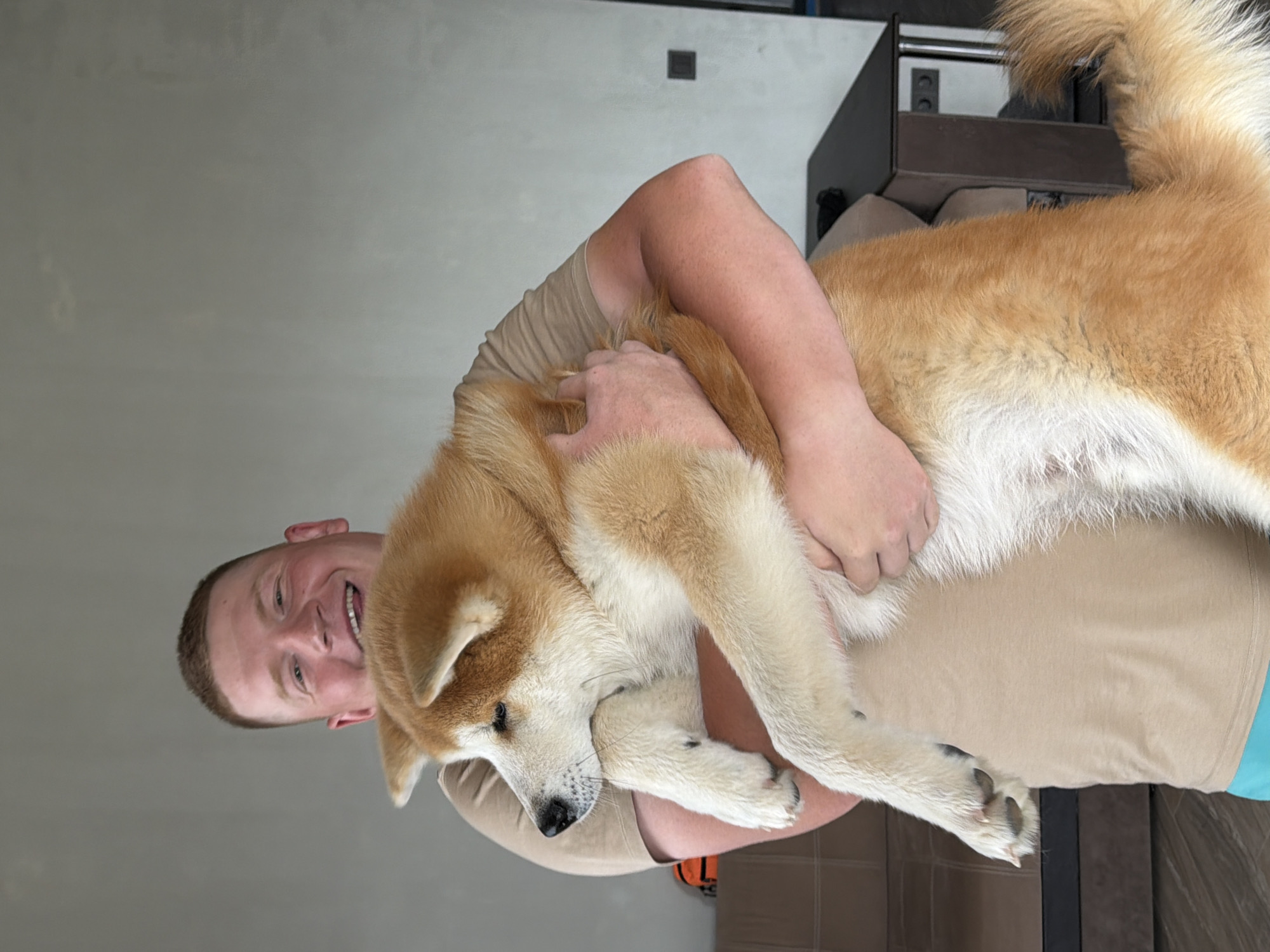 A man is holding a large Akita dog in his arms indoors. The man is fair-skinned with short hair and is smiling. He is wearing a tan shirt. The dog is mostly light brown and white, with a long, fluffy tail. The background is a light grey wall and a piece of furniture. The image is sideways. There is no indication that the image was taken in the city of Chaikovsky, Russia.