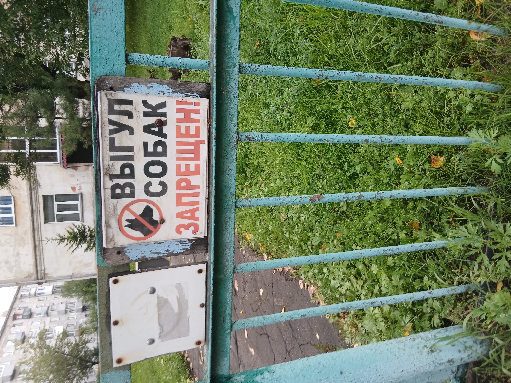 A sign is attached to a weathered turquoise metal fence. The sign is made of wood and has peeling blue paint. In the center of the sign is a black silhouette of a dog's head within a red circle with a diagonal line through it, indicating "no dogs". Below this graphic, in large black Cyrillic letters, are the words "ВЫГУЛ СОБАК" which translates to "dog walking." Underneath this, in red Cyrillic letters, is the word "ЗАПРЕЩЕН!" which means "forbidden!". To the left of the wooden sign is a white rectangular sign with what appears to be a faded sticker or image on it, attached with four screws. The fence encloses an area of green grass with scattered fallen leaves. In the background, there is a multi-story residential building with balconies and windows, and some trees. The ground in front of the fence is paved with asphalt.