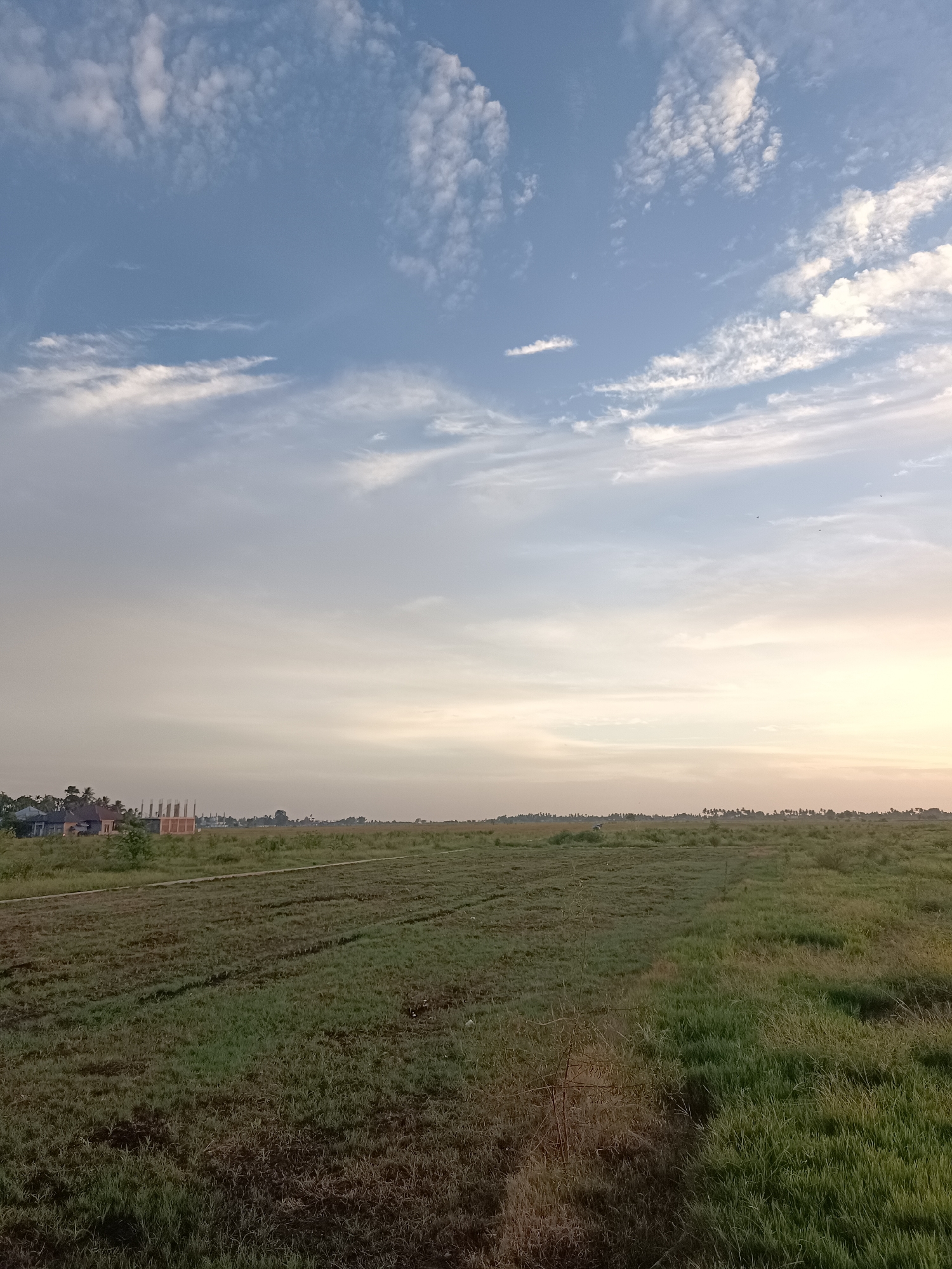 The image depicts a wide, open grassy field under a vast sky. The foreground is dominated by the textured green grass, showing variations in growth and possibly some dry patches. A faint path or track can be seen traversing the field from the bottom right towards the center. In the mid-ground, the field continues, with rows or furrows visible in some sections, suggesting agricultural activity. Along the horizon line, a line of trees and vegetation marks the edge of the field. Beyond the trees, a few buildings are visible, including what appear to be houses and a structure under construction with exposed concrete pillars. The sky is a prominent feature, with a gradient of blue at the top fading into lighter shades and hints of yellow and orange near the horizon, indicating either early morning or late afternoon light. Scattered white clouds of varying sizes and densities populate the sky. The overall impression is one of a rural or semi-rural landscape, likely on the outskirts of a settlement. The location is identified as Meunasah Pupu, Indonesia, a context that suggests a tropical or sub-tropical environment, which aligns with the verdant greenery and the style of the visible buildings. There are no people or animals explicitly visible in the scene.