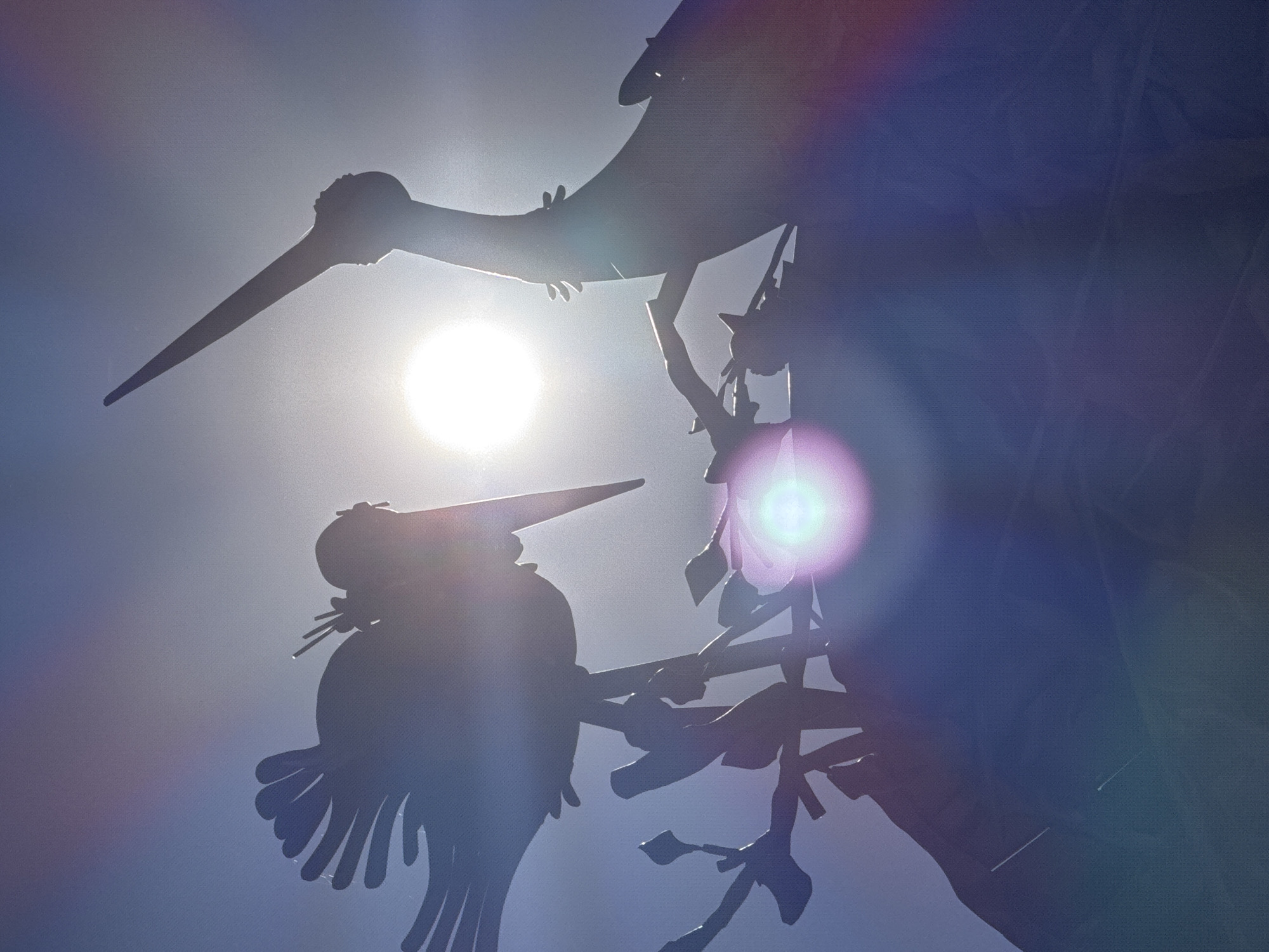 The image captures a low-angle view of metal sculptures against a bright, sunlit sky. The sculptures appear to be stylized birds, one with a long beak reminiscent of a heron or similar wading bird, and another slightly below it with prominent tail feathers. The sculptures are silhouetted, obscuring their details beyond their basic forms. The sun is directly behind the sculptures, creating a strong backlight and lens flare. There are also some metal branches. The location appears to be Vsevolozhsk, Russia, although this is not directly discernible from the image itself, relying on external knowledge.