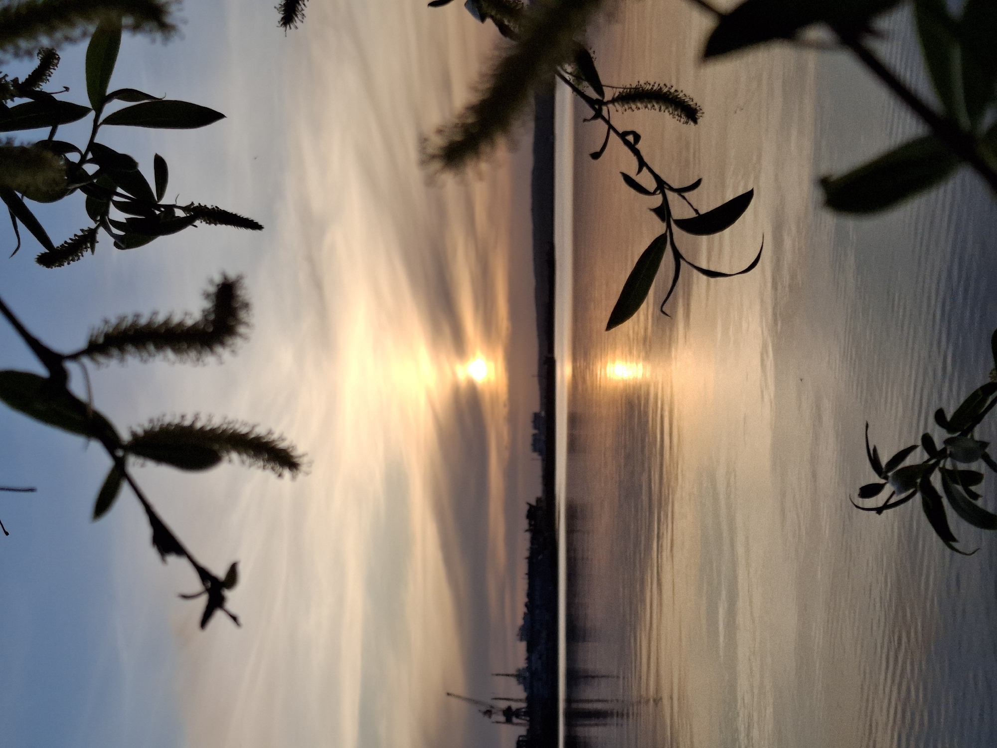 The image is a low-angle shot of a sunset over the Kama River in Chaikovsky, Russia, partially obscured by tree branches in the foreground. The sun reflects off the water, creating a shimmering effect. In the distance, the silhouetted skyline of Chaikovsky is visible, including cranes and industrial structures. The sky is streaked with shades of orange, yellow, and blue. The tree branches have buds and leaves silhouetted against the sky and water. The image is rotated counter-clockwise.