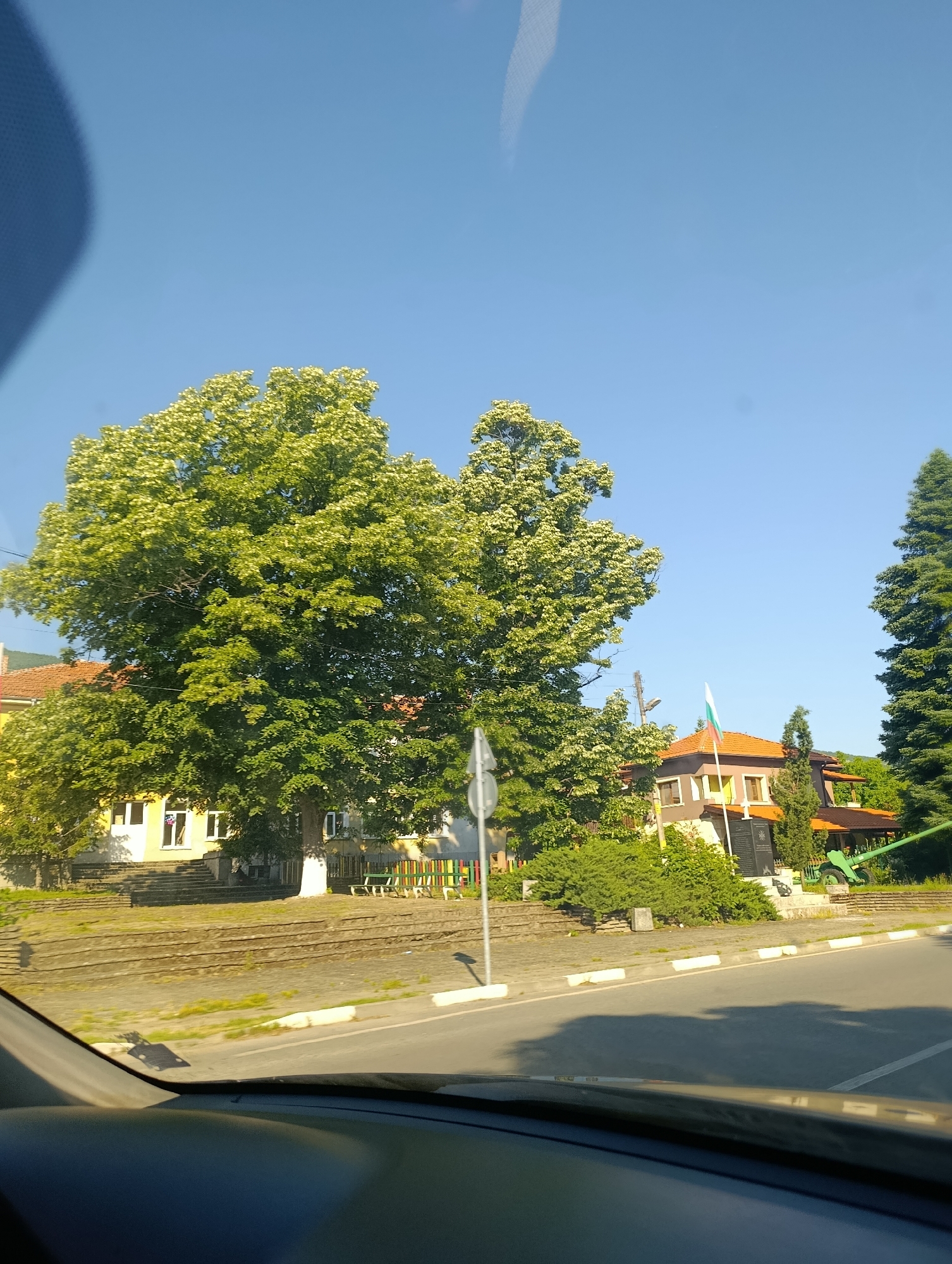 The image depicts a street view in the city of Cherven, Bulgaria. The scene is dominated by a large, leafy tree in the foreground, with a yellow building and a brown building with an orange roof visible behind it. A Bulgarian flag flies from a flagpole in front of the brown building. A war monument with a cannon is also present near the brown building. The sky is clear and blue. The image appears to have been taken from a vehicle.