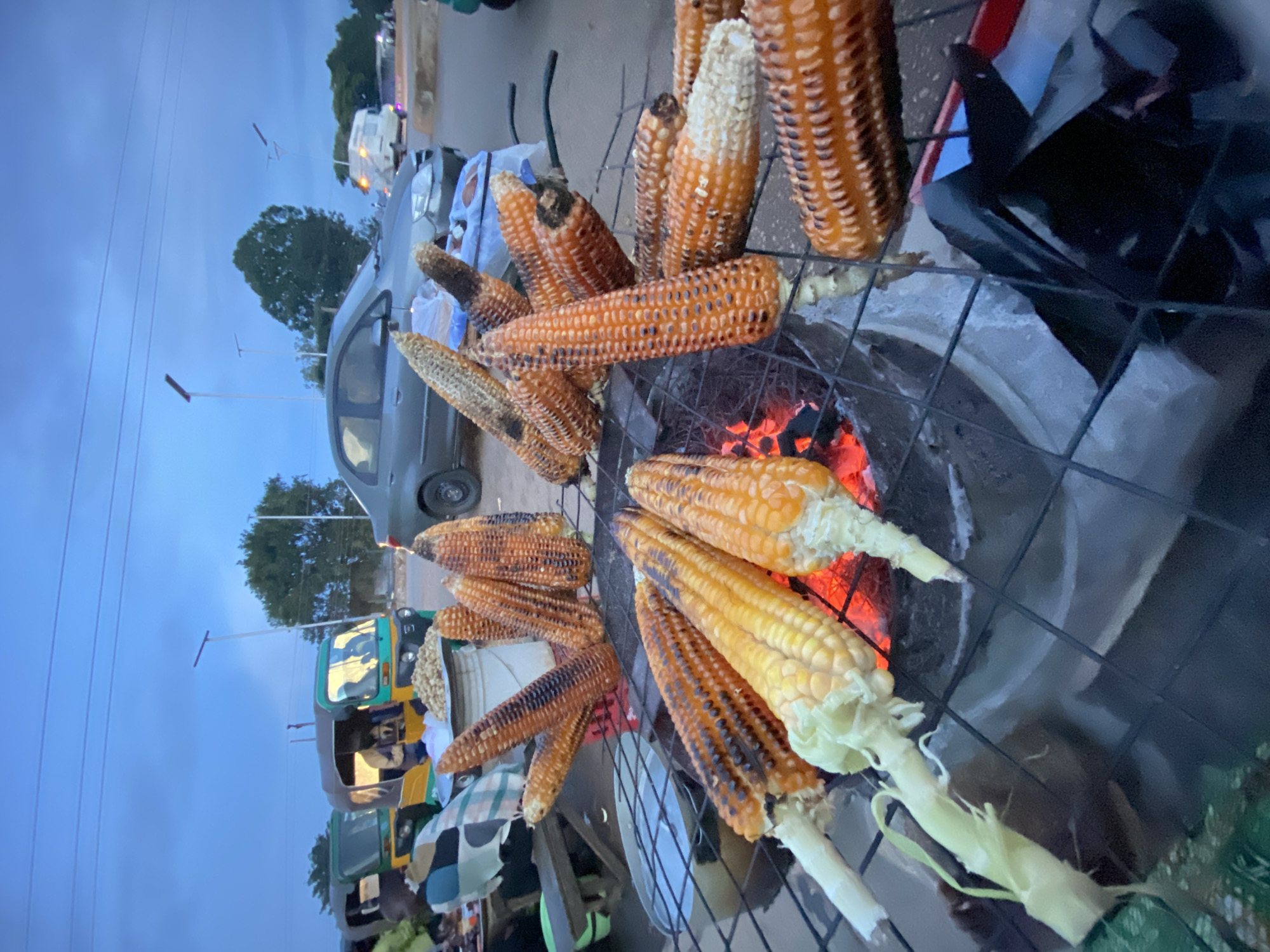 This image captures a street-side scene in Bukuru, Nigeria, where corn is being roasted over glowing coals. The main subjects are several ears of corn, arranged on a black metal grill, some showing char marks from the heat. The grill is positioned over a fire pit filled with bright red embers, indicating the cooking process is in full swing.
In the background, a gray car is parked, and various forms of transportation, including what appear to be auto-rickshaws or tuk-tuks, are visible. Trees and utility poles suggest an outdoor, possibly urban or semi-urban, environment. The sky is a dusky blue, hinting at either early morning or late evening. The lighting suggests it is either dawn or dusk.
The scene evokes a sense of local commerce and everyday life. The focus on the food being prepared implies a food vendor operating at this location. There is no visible text in the image. The overall atmosphere seems casual and perhaps a little hazy due to the twilight conditions.