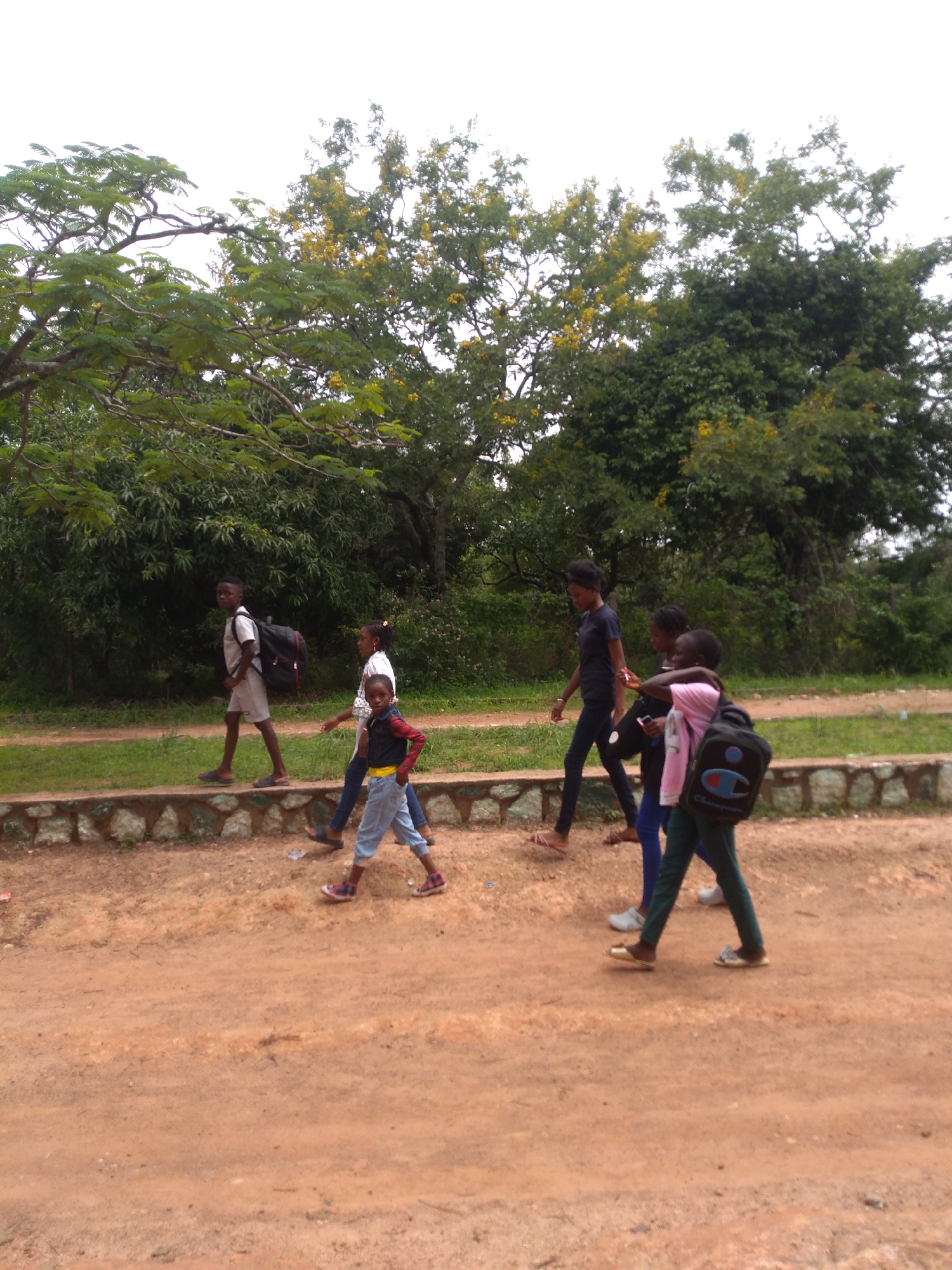 In Jos, Nigeria, a group of six young people walks along a dirt road. The scene is set against a backdrop of lush green trees, some of which are adorned with yellow flowers. A low, decorative stone wall borders the road on the left side.
The individuals are walking in the same direction, from left to right, on the road. The first person on the left, a young boy, wears a light-colored t-shirt and shorts and carries a large dark backpack. Next to him, a young girl in a white top and blue jeans walks with her hands clasped behind her back. Following them is another young boy, wearing a dark blue jacket over a red shirt and light blue jeans, with a backpack slung over one shoulder.
Further to the right, a young girl in a black t-shirt and dark blue jeans is walking. She is followed by two more young people. One, wearing a pink t-shirt and dark pants, carries a backpack with a "Champion" logo. The last person in the group, wearing a white t-shirt and dark pants, is partially obscured. All of the individuals appear to be walking casually. The lighting suggests an overcast day.