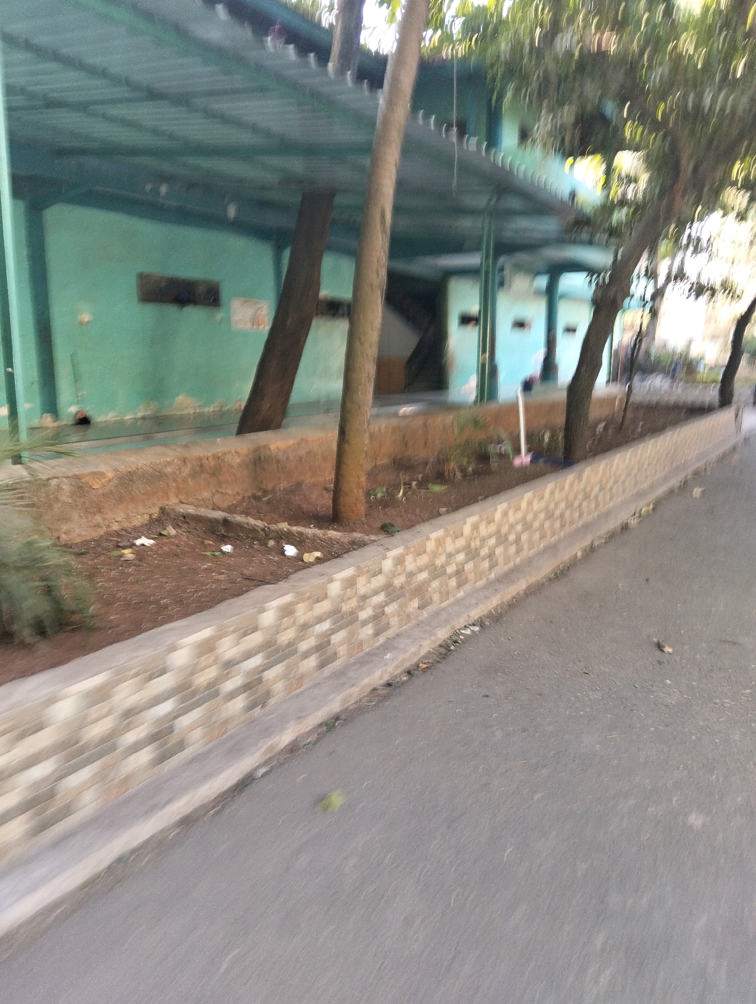 The image captures a street scene in Paciran, Indonesia, characterized by a light blue building with a corrugated metal roof supported by thin posts. A concrete pathway runs along the front of the building, elevated above a strip of soil containing sparse vegetation and fallen leaves. A decorative low wall, constructed with light-colored tiles, separates this soil strip from the asphalt road. Several trees with visible trunks are interspersed along the scene, their foliage blurring due to motion. The road surface appears weathered and slightly uneven, with scattered debris. The overall atmosphere suggests an outdoor, possibly public, area in a tropical or subtropical climate.