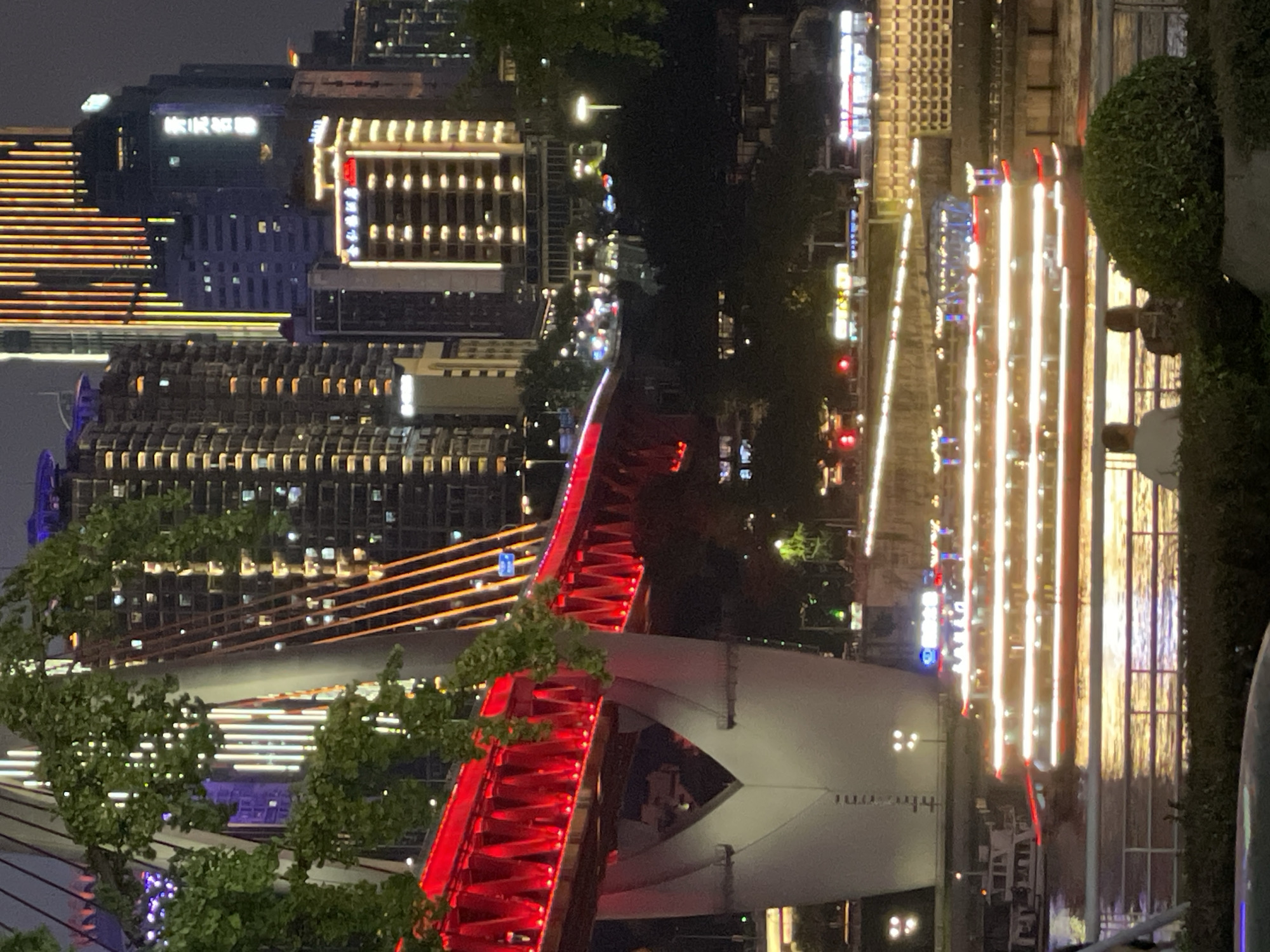 This is a nighttime photograph taken from a vantage point overlooking a river in Nan'an District, China. In the foreground, two individuals are seated on a ledge, facing away from the camera and towards the river. A dense, dark green shrub is positioned to the right of the seated individuals, partially obscuring their lower bodies.
The middle ground of the image is dominated by the river, on which a multi-decked passenger boat is illuminated with numerous white and red lights, giving it a festive appearance. The boat's reflection shimmers on the water's surface. To the left of the boat, a smaller white vessel is visible. The riverbank is lined with lights, indicating a city or urban area.
The background features a large, illuminated bridge with red accents, its structure supported by a massive white pillar. Beyond the bridge, a densely populated cityscape rises, characterized by numerous tall buildings with illuminated windows and vertical light strips in yellow and blue hues. The overall scene depicts a vibrant urban night environment along a river.