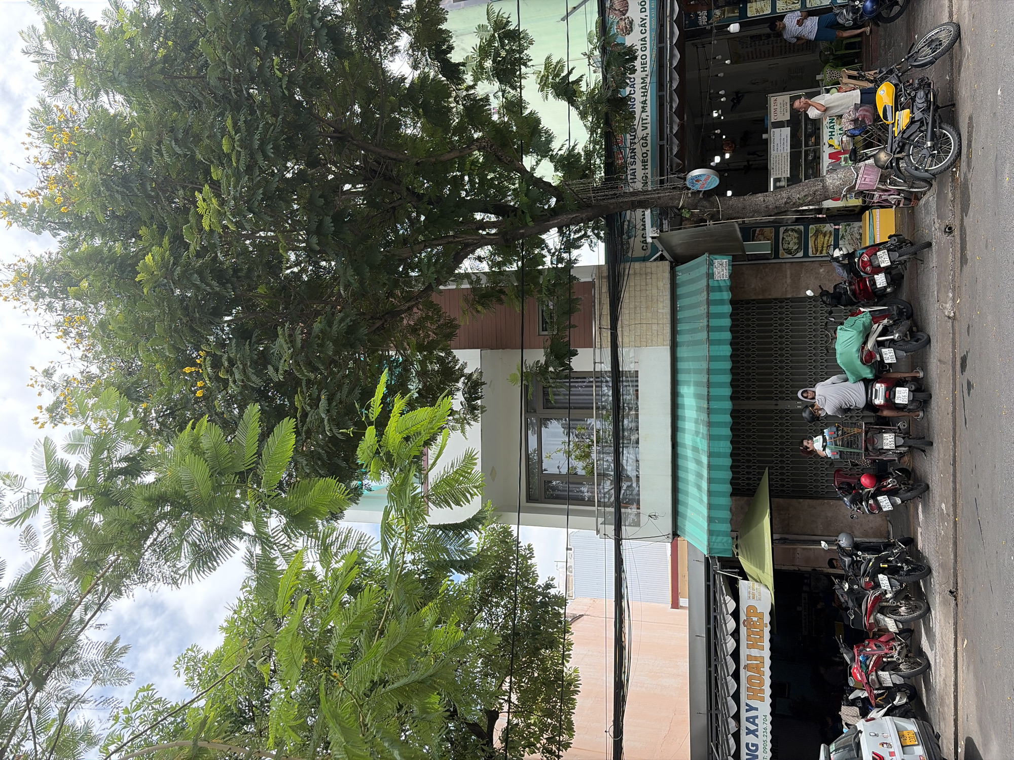 The image depicts a street scene in Da Nang, Vietnam. In the foreground, several motorcycles are parked along the sidewalk. A large tree with green foliage and some yellow flowers dominates the center of the image, partially obscuring the buildings behind it. The buildings appear to be a mix of commercial establishments and residential units. One building has a light-colored facade with brown accents and a window on the second floor. Another building is painted green. Signs with Vietnamese text are visible on the storefronts. A few people are present, some standing and some sitting on motorcycles. One person is standing by a tree on the sidewalk, looking at their phone. Another person is sitting on a motorcycle in the background, wearing a gray hoodie. The street is paved with asphalt, and there are power lines running across the scene. The sky is cloudy.