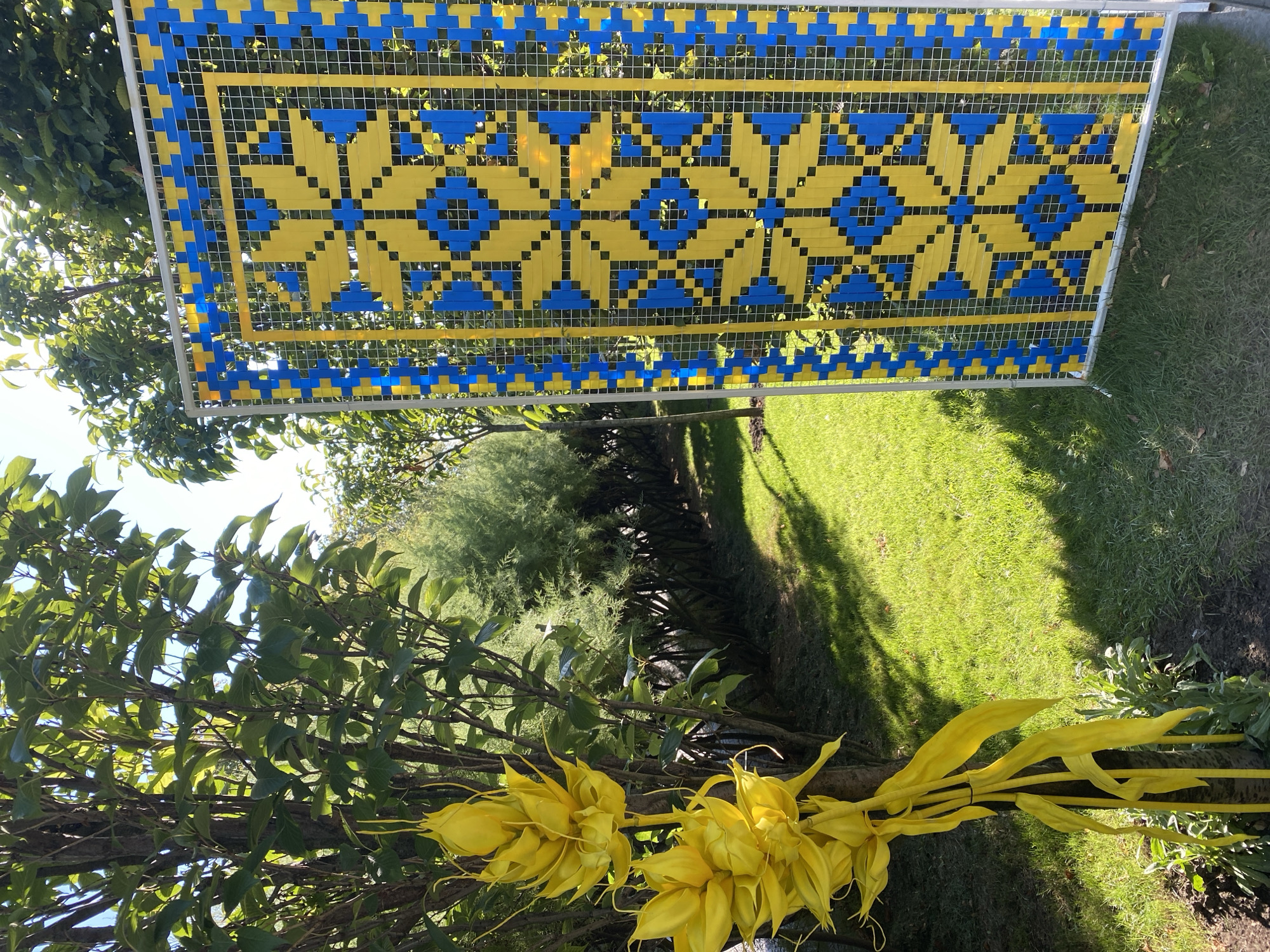 The image depicts an outdoor scene with a focus on a decorative screen and surrounding foliage. On the left side of the frame, a tree trunk supports a cluster of large, vibrant yellow, abstract floral sculptures, with long, flowing petals. To the right, a rectangular screen stands upright. This screen is constructed with a grid-like mesh and features a woven pattern in blue and yellow, resembling a traditional folk design. The background reveals a lush green lawn bathed in sunlight, casting dappled shadows. Behind the lawn, a row of green, conical trees forms a dense hedge. The overall impression is one of a decorated outdoor space, possibly a garden or a public area within the city of Kremenchuk, Ukraine, given the prominent use of the national colors, blue and yellow, in the decorative screen. There are no people visible in the scene.